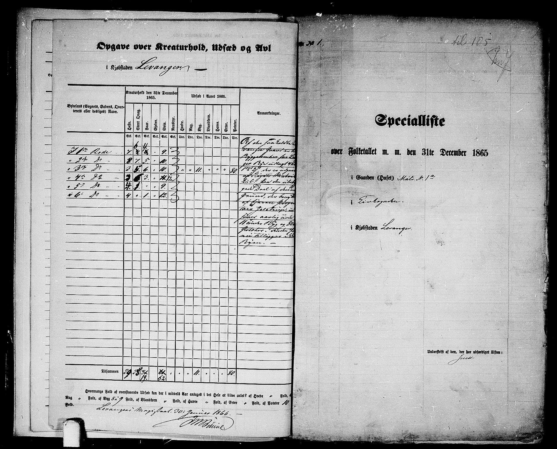 RA, Folketelling 1865 for 1701B Levanger prestegjeld, Levanger kjøpstad, 1865, s. 5