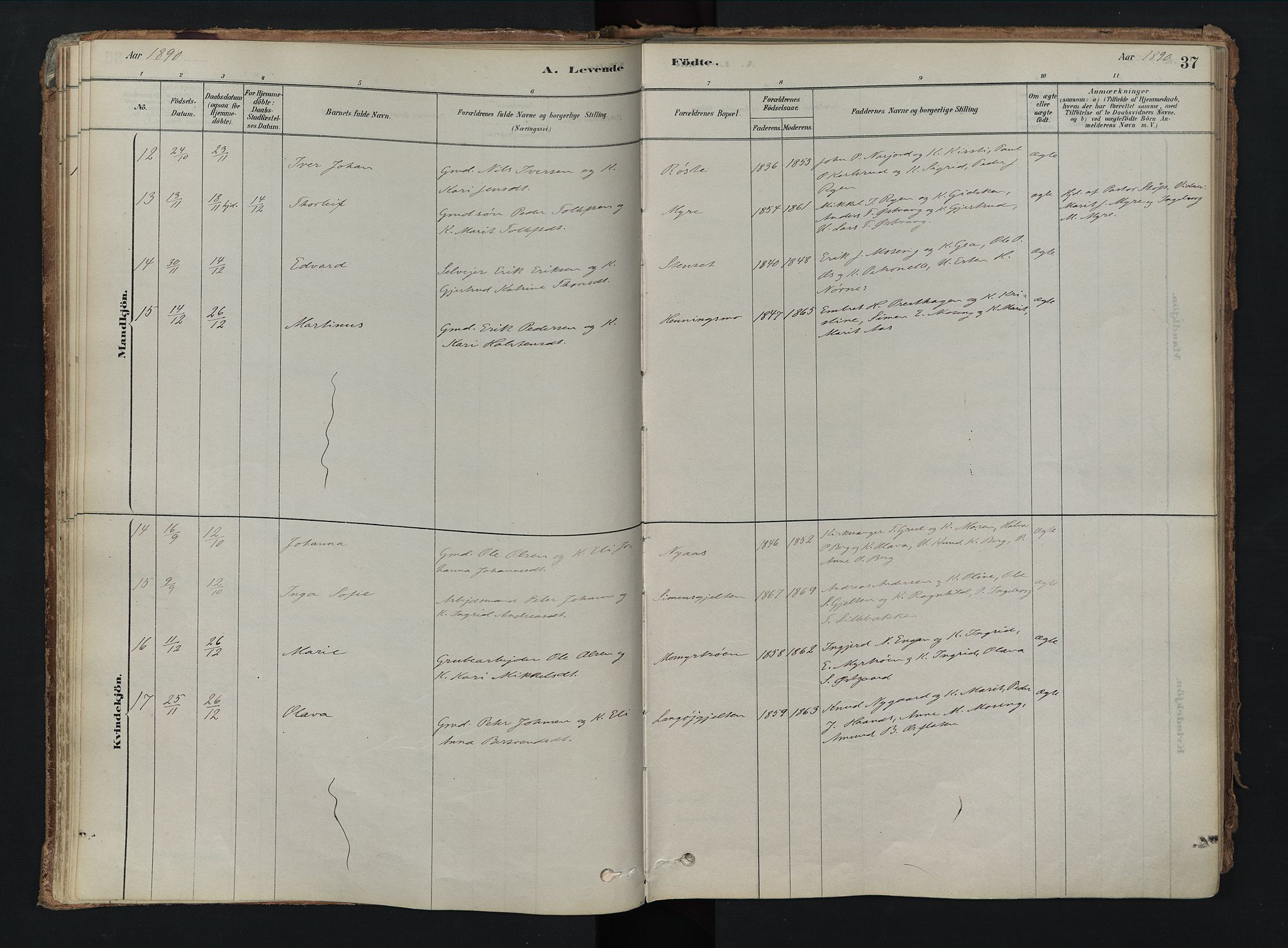 Tolga prestekontor, AV/SAH-PREST-062/K/L0008: Ministerialbok nr. 8, 1877-1910, s. 37
