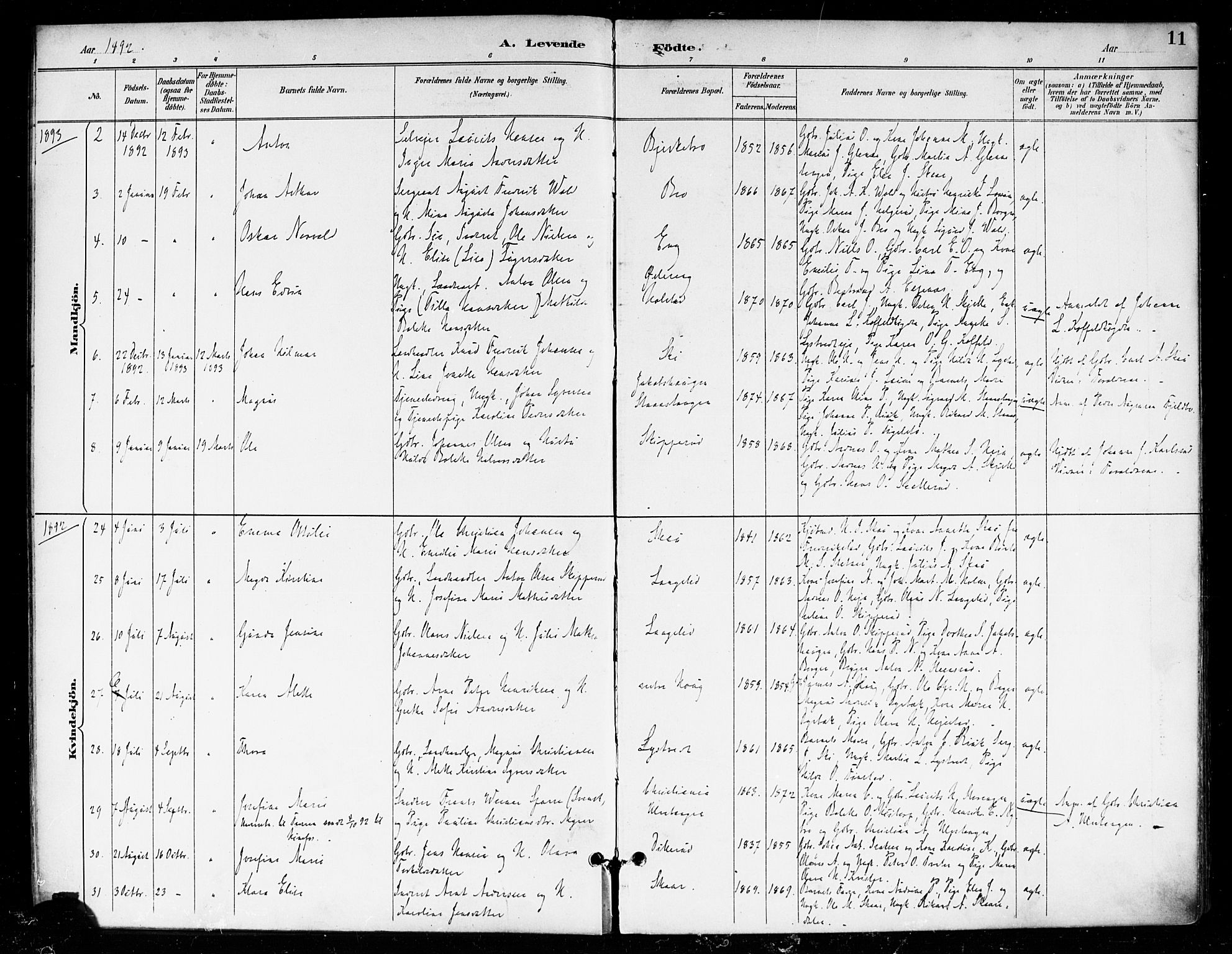 Skiptvet prestekontor Kirkebøker, AV/SAO-A-20009/F/Fa/L0010: Ministerialbok nr. 10, 1890-1900, s. 11