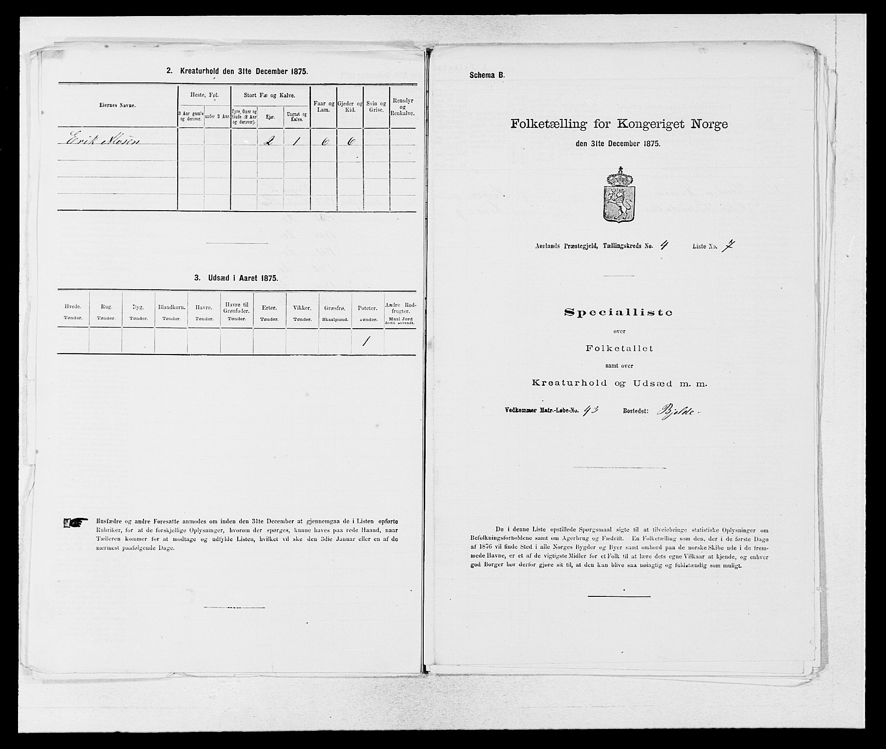 SAB, Folketelling 1875 for 1421P Aurland prestegjeld, 1875, s. 428