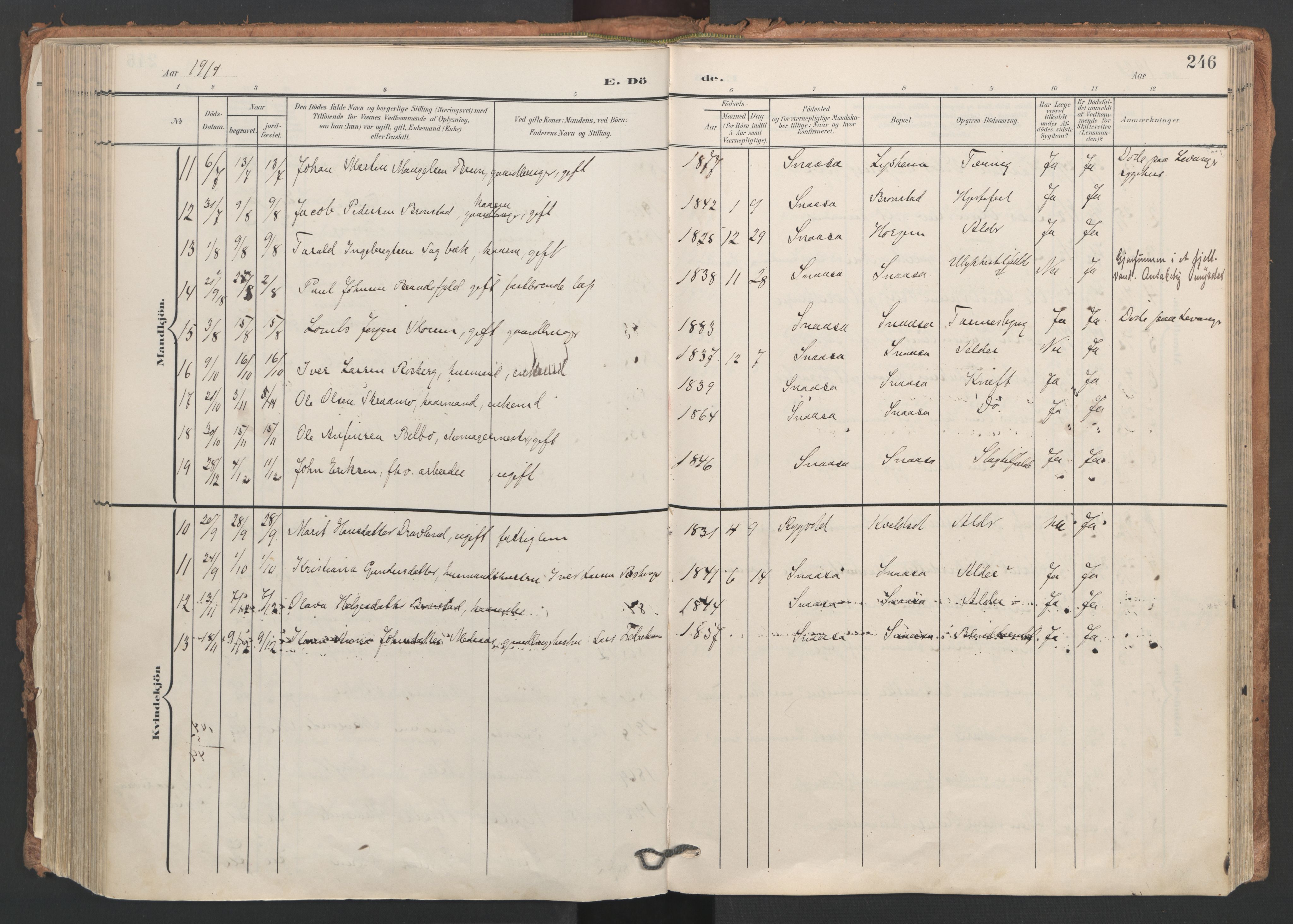 Ministerialprotokoller, klokkerbøker og fødselsregistre - Nord-Trøndelag, AV/SAT-A-1458/749/L0477: Ministerialbok nr. 749A11, 1902-1927, s. 246
