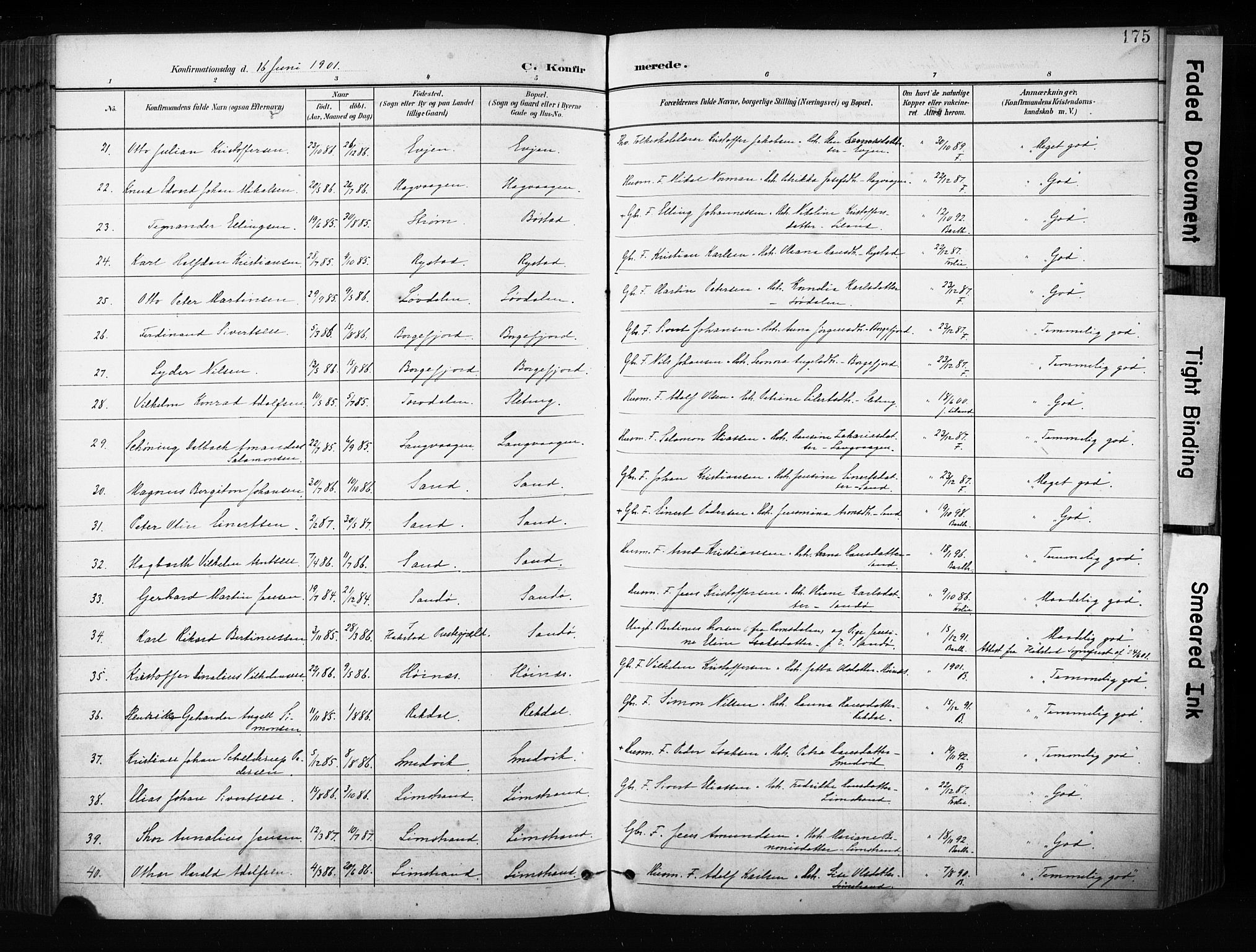 Ministerialprotokoller, klokkerbøker og fødselsregistre - Nordland, AV/SAT-A-1459/880/L1134: Ministerialbok nr. 880A08, 1899-1908, s. 175