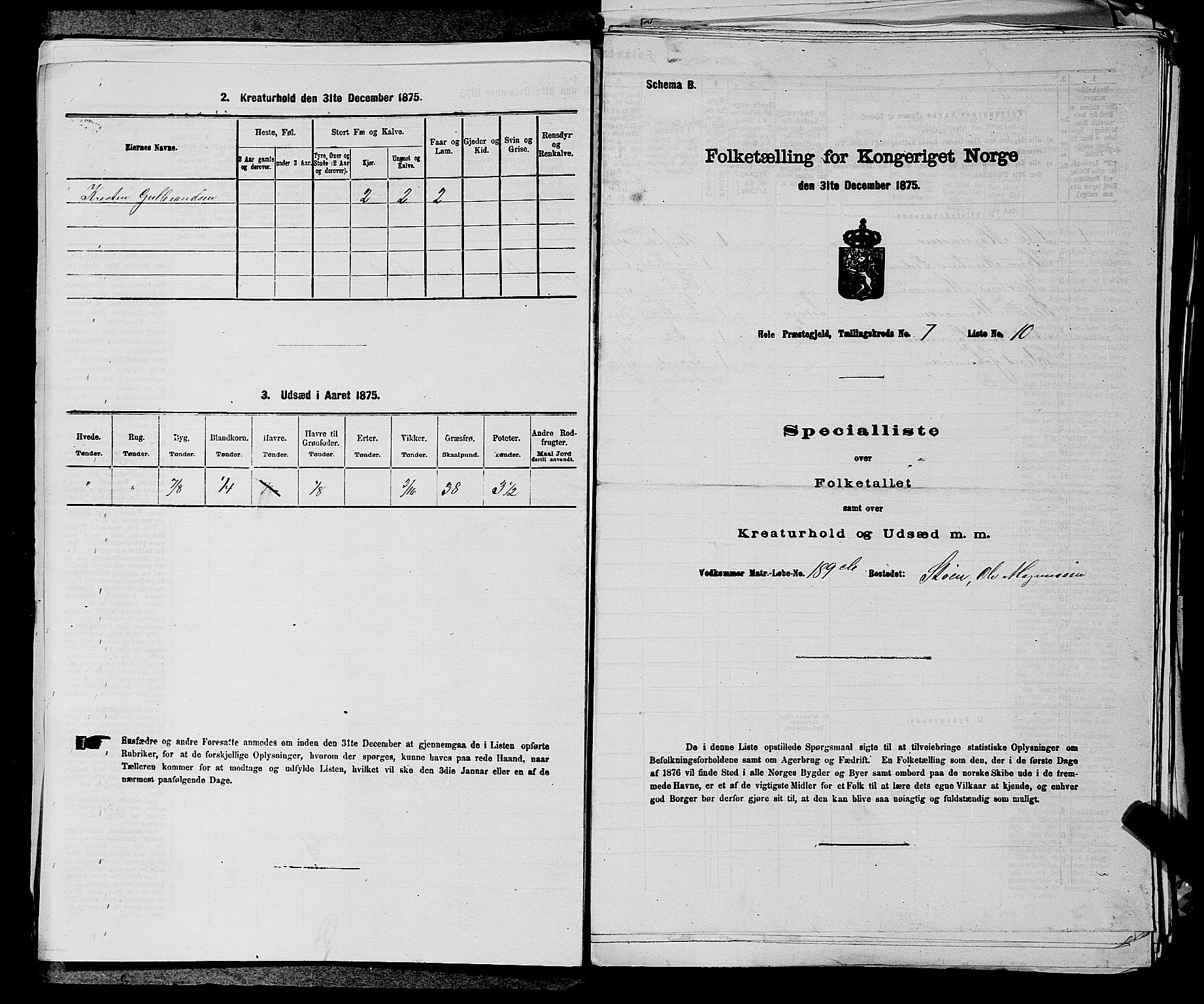 SAKO, Folketelling 1875 for 0612P Hole prestegjeld, 1875, s. 1170