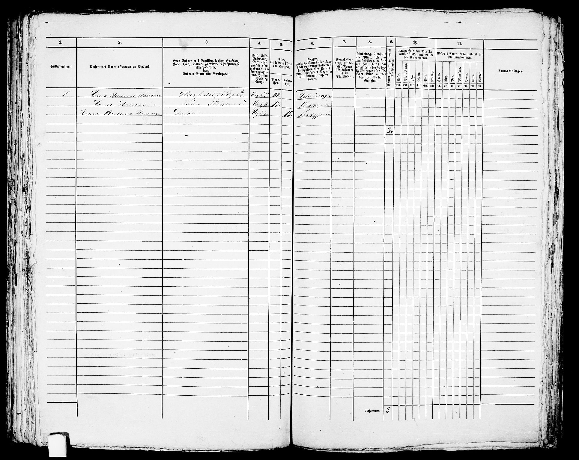 RA, Folketelling 1865 for 1004B Flekkefjord prestegjeld, Flekkefjord kjøpstad, 1865, s. 295