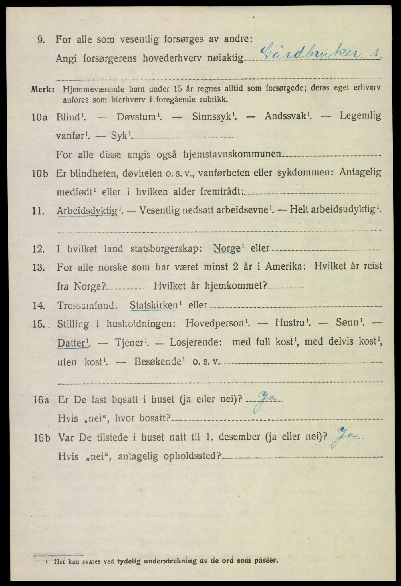 SAK, Folketelling 1920 for 0936 Hornnes herred, 1920, s. 2894
