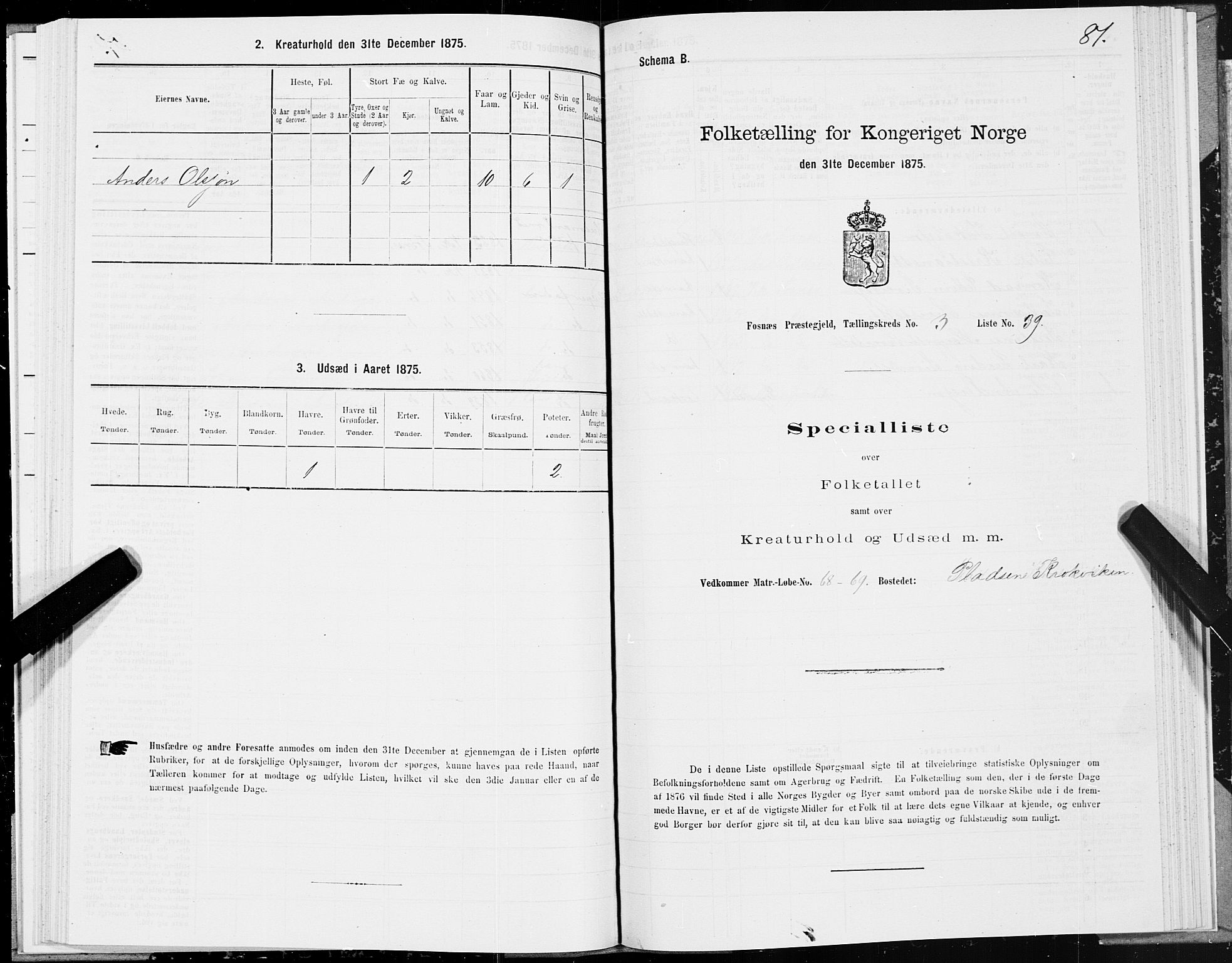 SAT, Folketelling 1875 for 1748P Fosnes prestegjeld, 1875, s. 4081