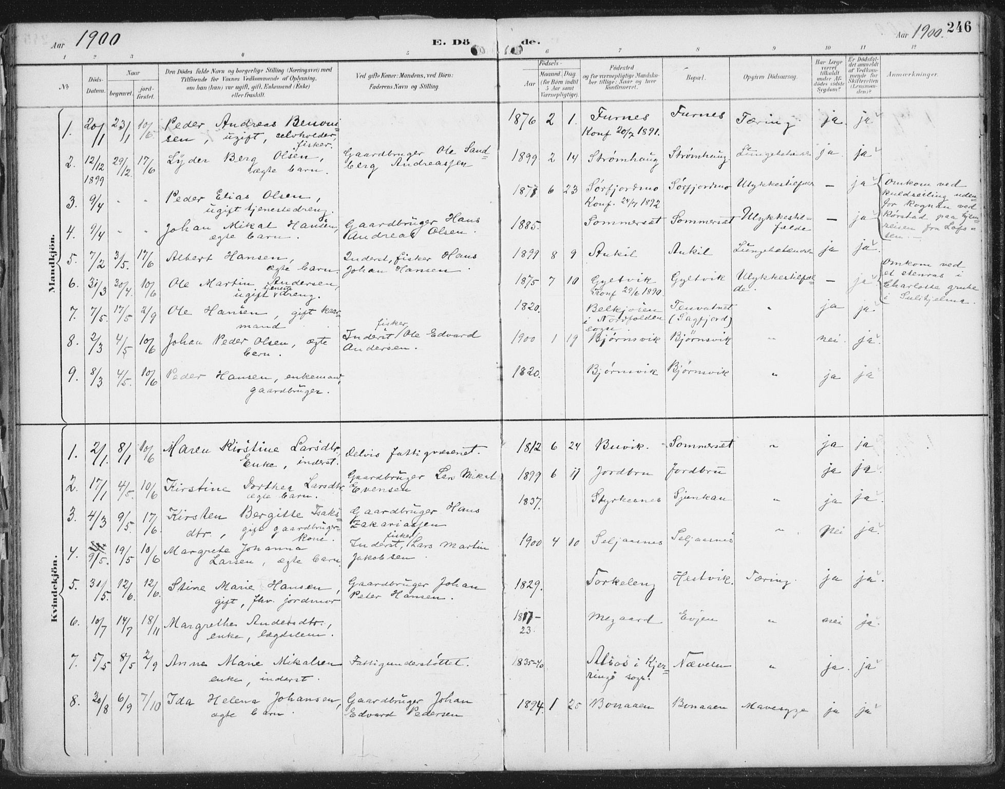 Ministerialprotokoller, klokkerbøker og fødselsregistre - Nordland, AV/SAT-A-1459/854/L0779: Ministerialbok nr. 854A02, 1892-1909, s. 246