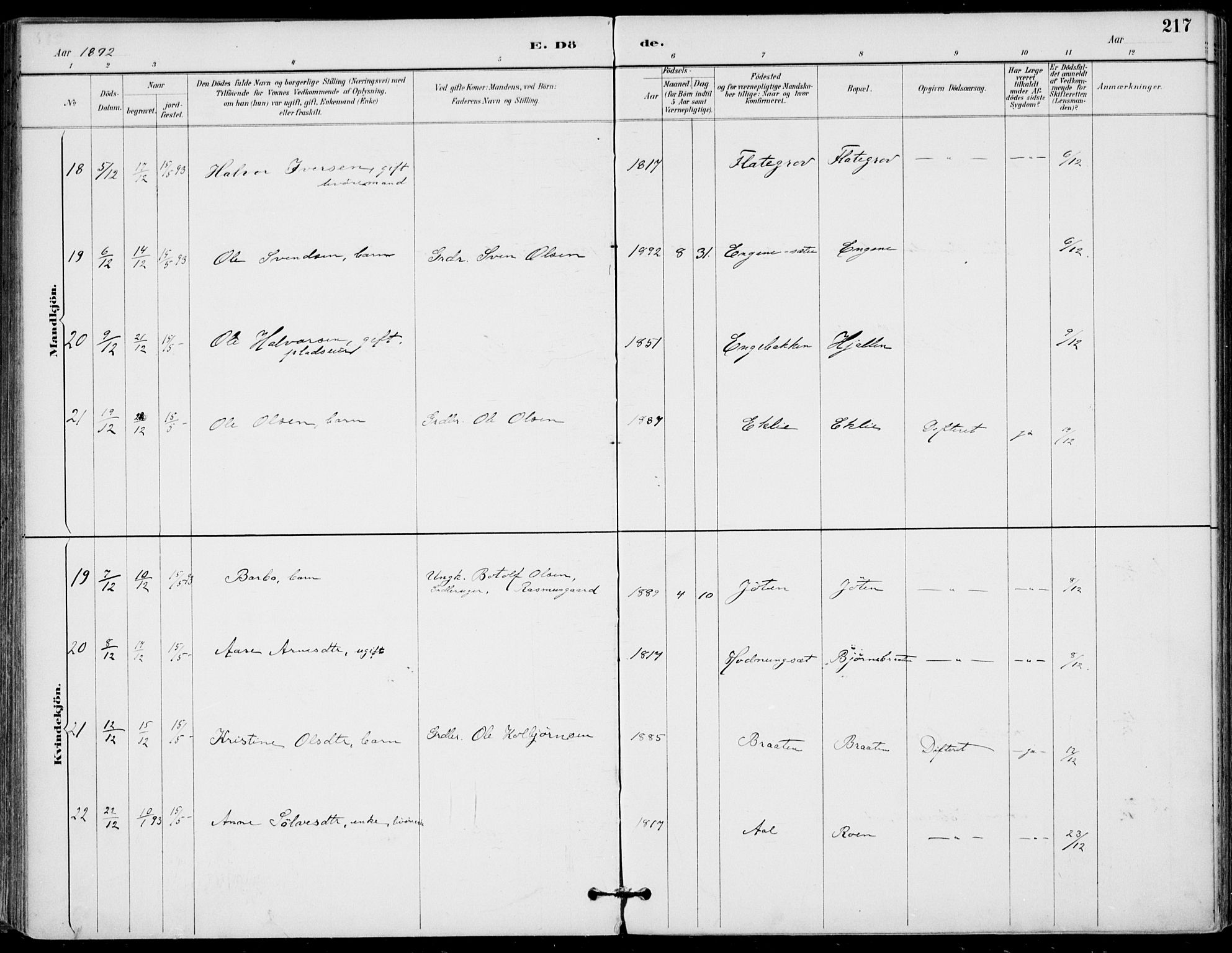Gol kirkebøker, AV/SAKO-A-226/F/Fa/L0005: Ministerialbok nr. I 5, 1887-1900, s. 217