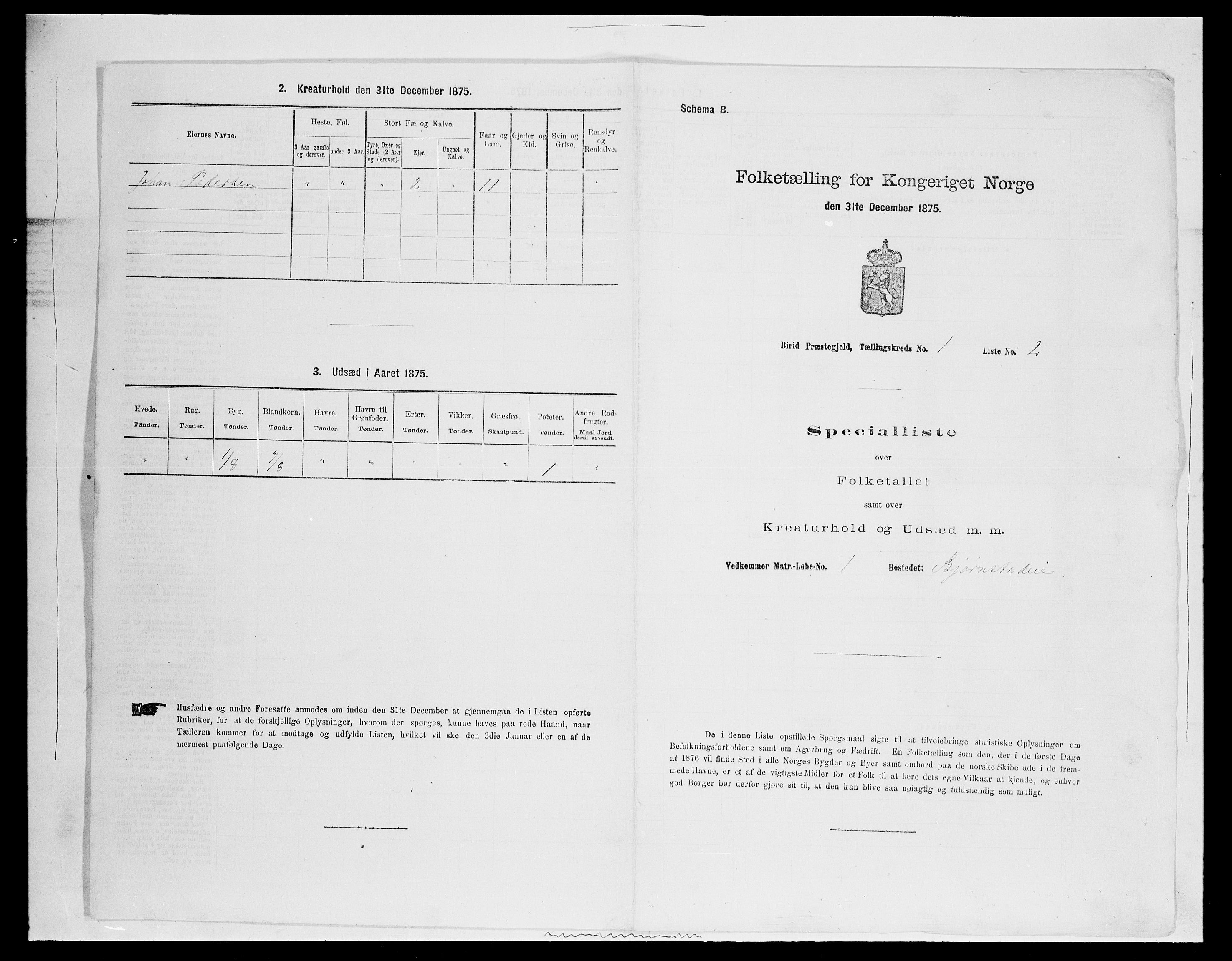 SAH, Folketelling 1875 for 0525P Biri prestegjeld, 1875, s. 116