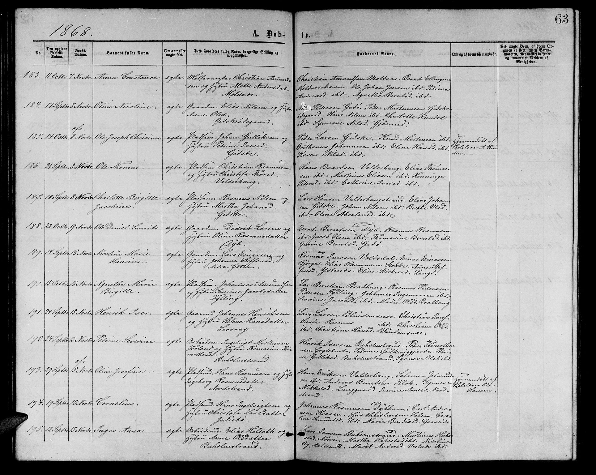 Ministerialprotokoller, klokkerbøker og fødselsregistre - Møre og Romsdal, AV/SAT-A-1454/528/L0428: Klokkerbok nr. 528C09, 1864-1880, s. 63