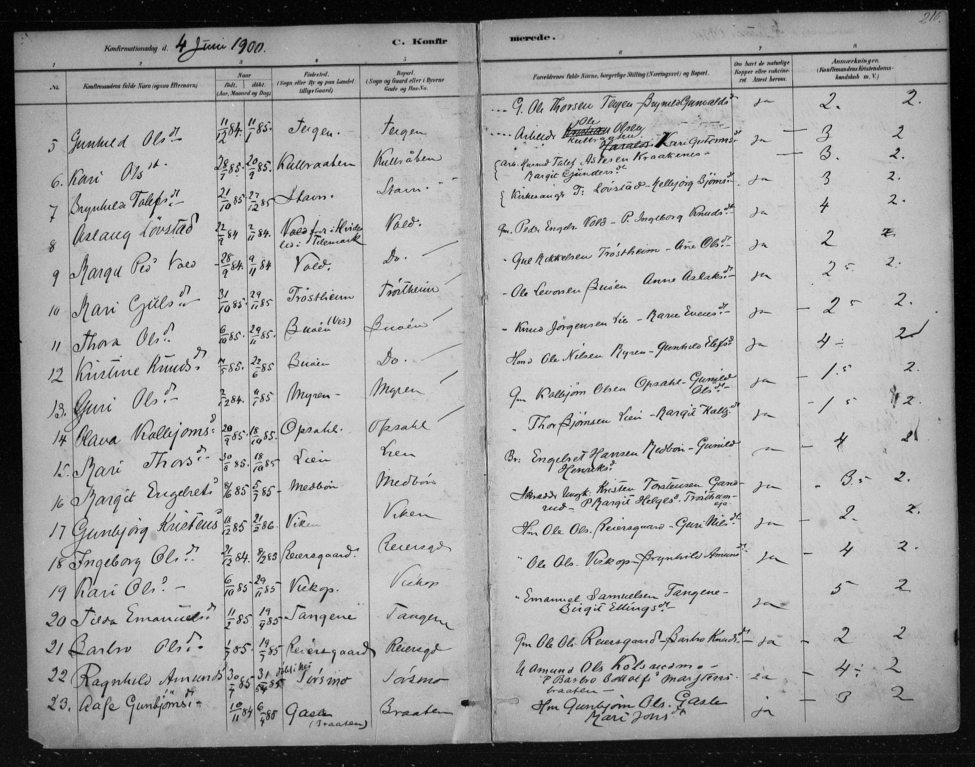 Nes kirkebøker, AV/SAKO-A-236/F/Fa/L0012: Ministerialbok nr. 12, 1881-1917, s. 210