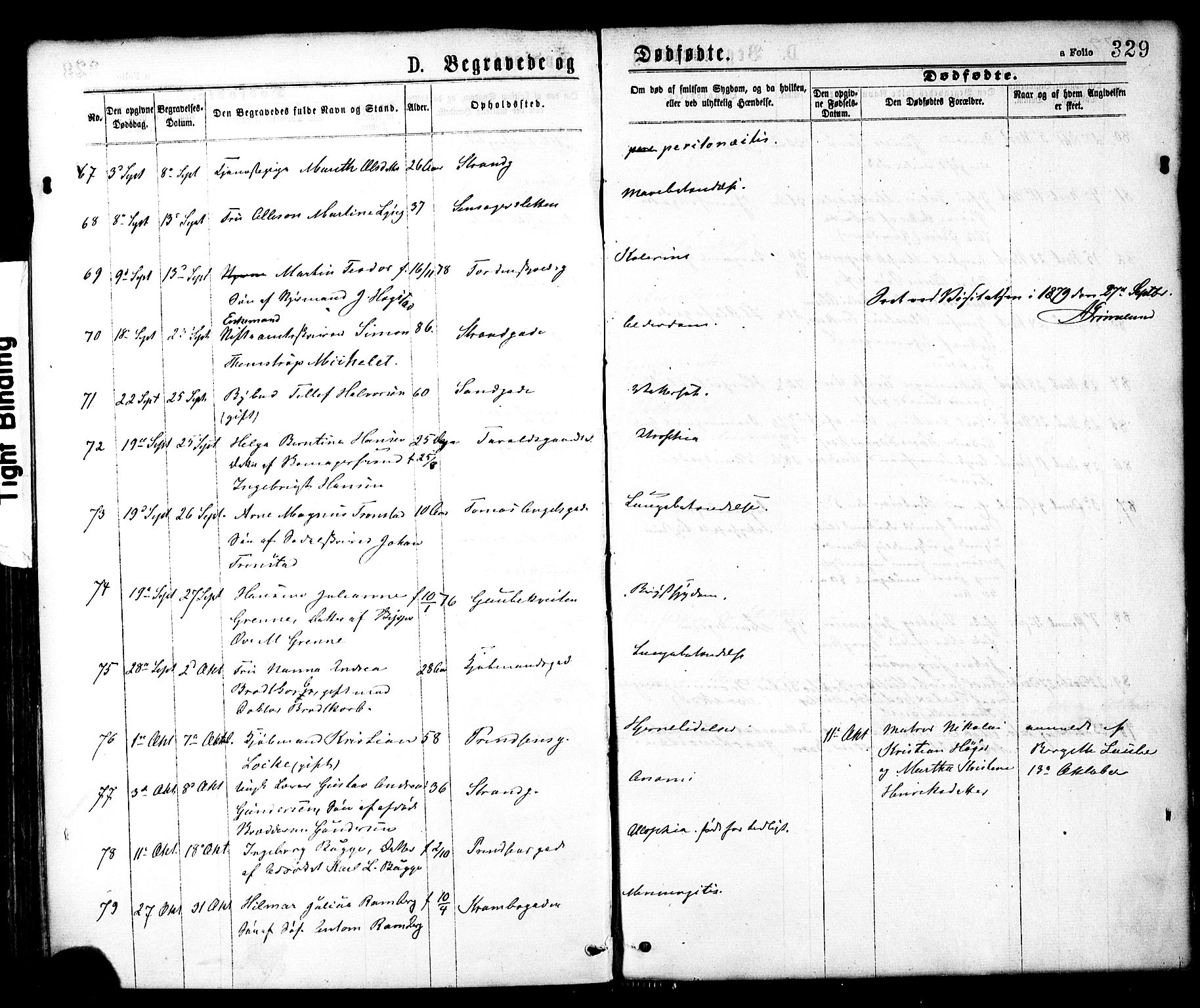 Ministerialprotokoller, klokkerbøker og fødselsregistre - Sør-Trøndelag, SAT/A-1456/602/L0118: Ministerialbok nr. 602A16, 1873-1879, s. 329