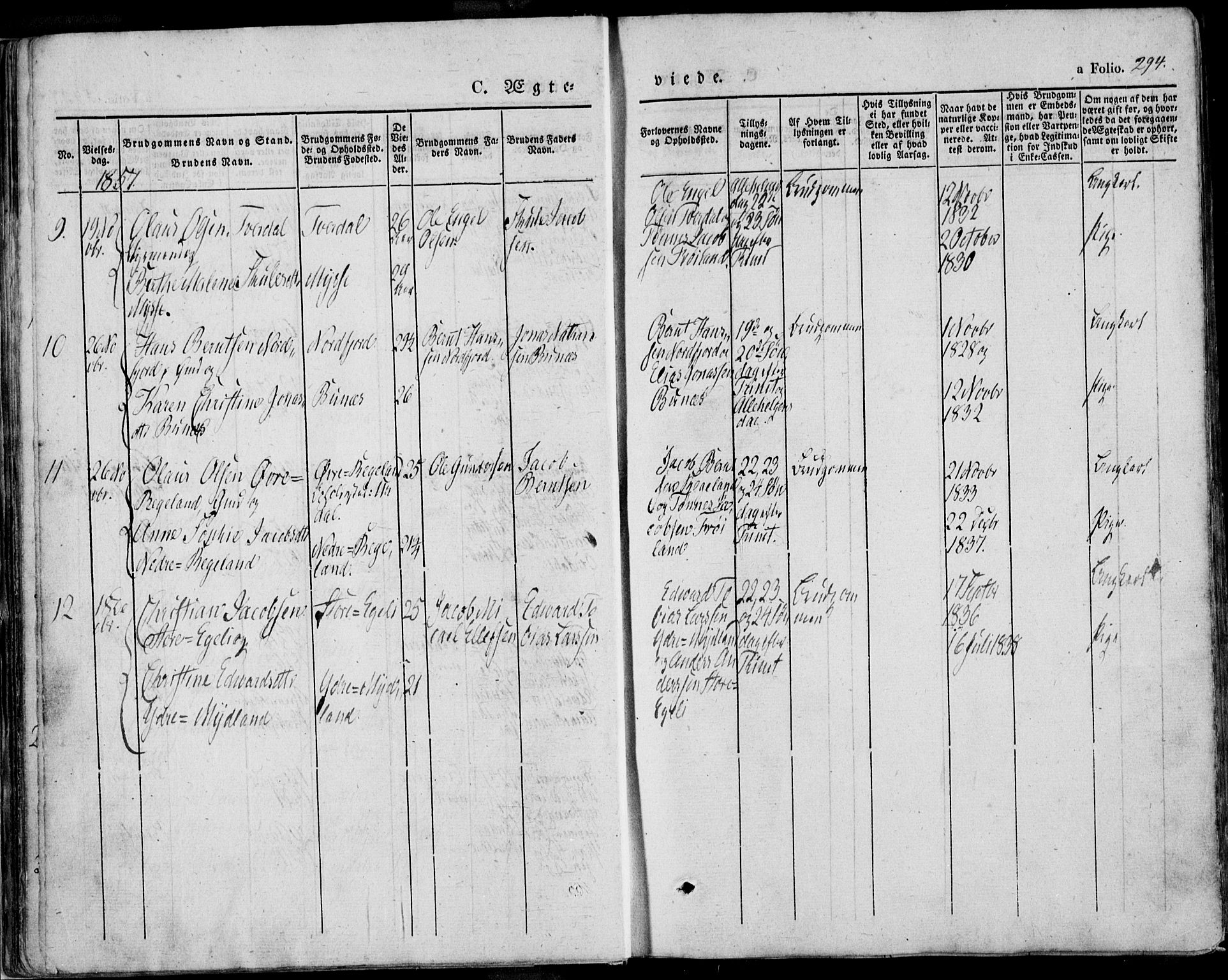 Sokndal sokneprestkontor, AV/SAST-A-101808: Ministerialbok nr. A 8.2, 1842-1857, s. 294