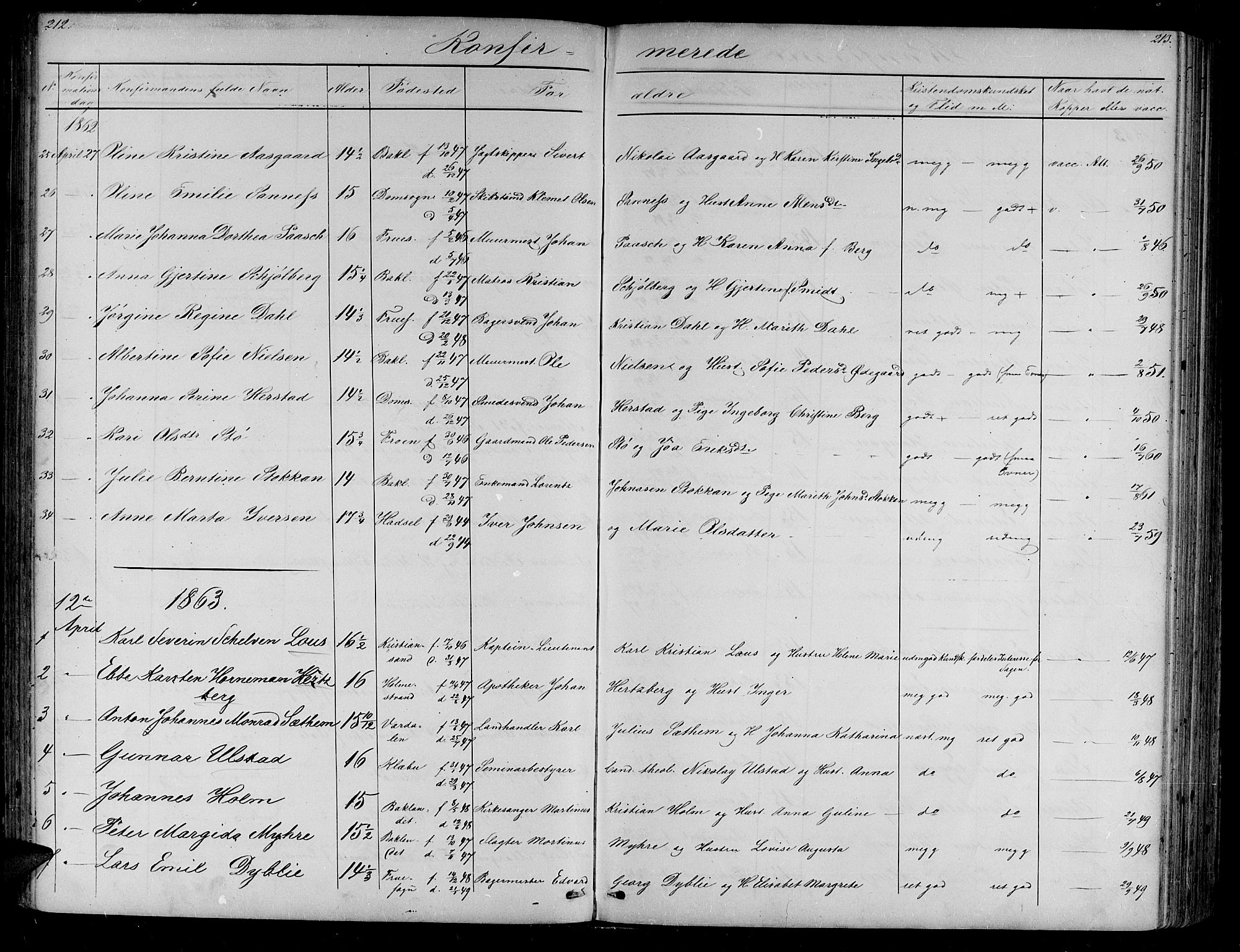 Ministerialprotokoller, klokkerbøker og fødselsregistre - Sør-Trøndelag, SAT/A-1456/604/L0219: Klokkerbok nr. 604C02, 1851-1869, s. 212-213