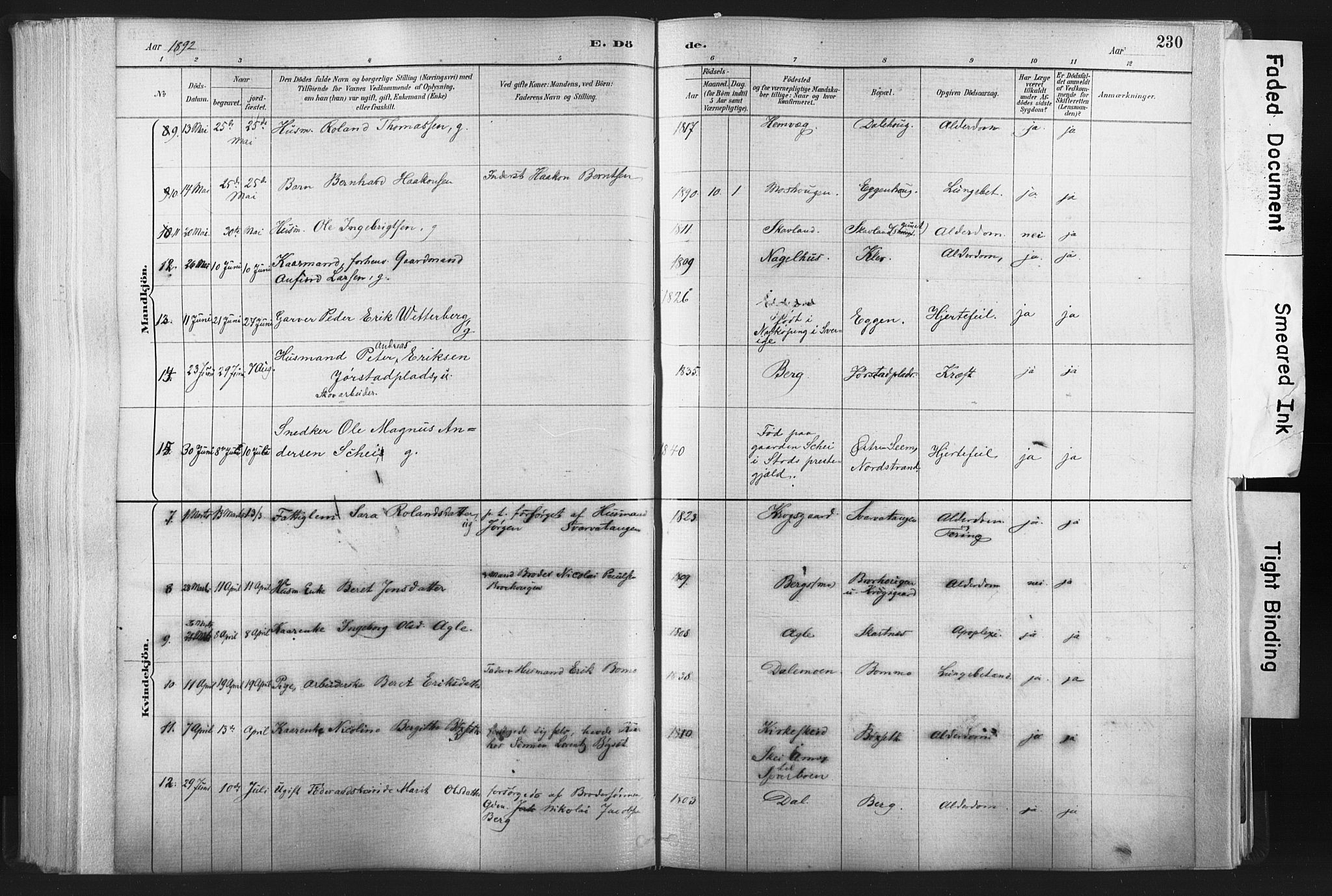 Ministerialprotokoller, klokkerbøker og fødselsregistre - Nord-Trøndelag, SAT/A-1458/749/L0474: Ministerialbok nr. 749A08, 1887-1903, s. 230