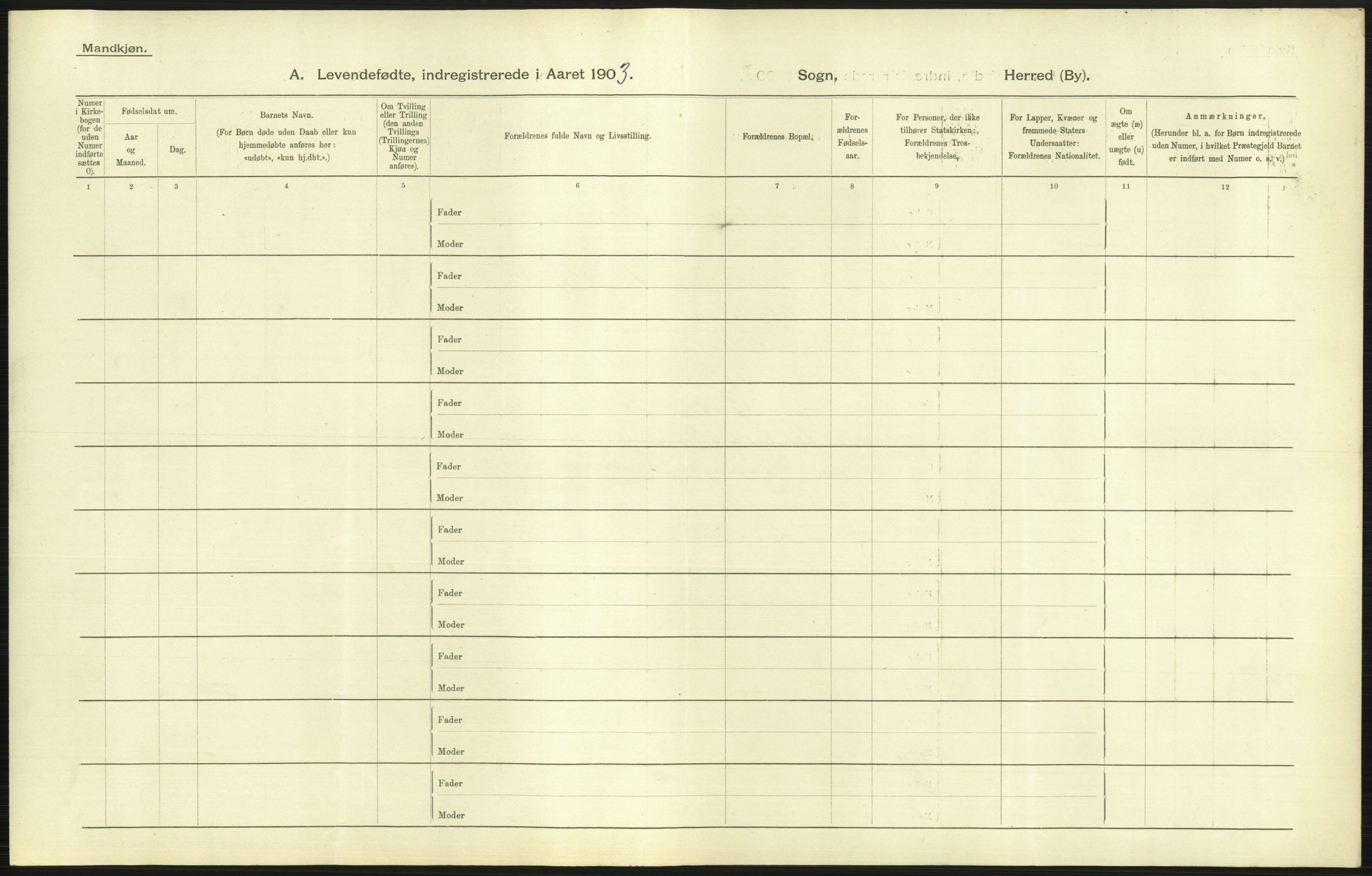 Statistisk sentralbyrå, Sosiodemografiske emner, Befolkning, AV/RA-S-2228/D/Df/Dfa/Dfaa/L0006: Kristians amt: Fødte, gifte, døde, 1903, s. 75