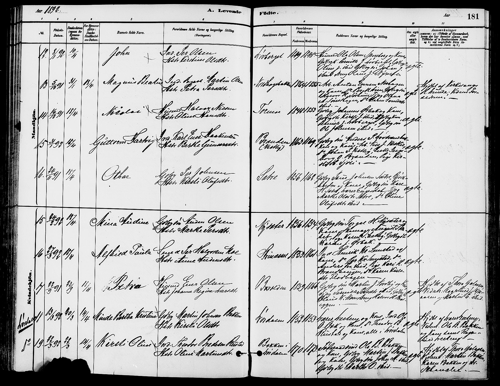 Trysil prestekontor, AV/SAH-PREST-046/H/Ha/Haa/L0008: Ministerialbok nr. 8, 1881-1897, s. 181