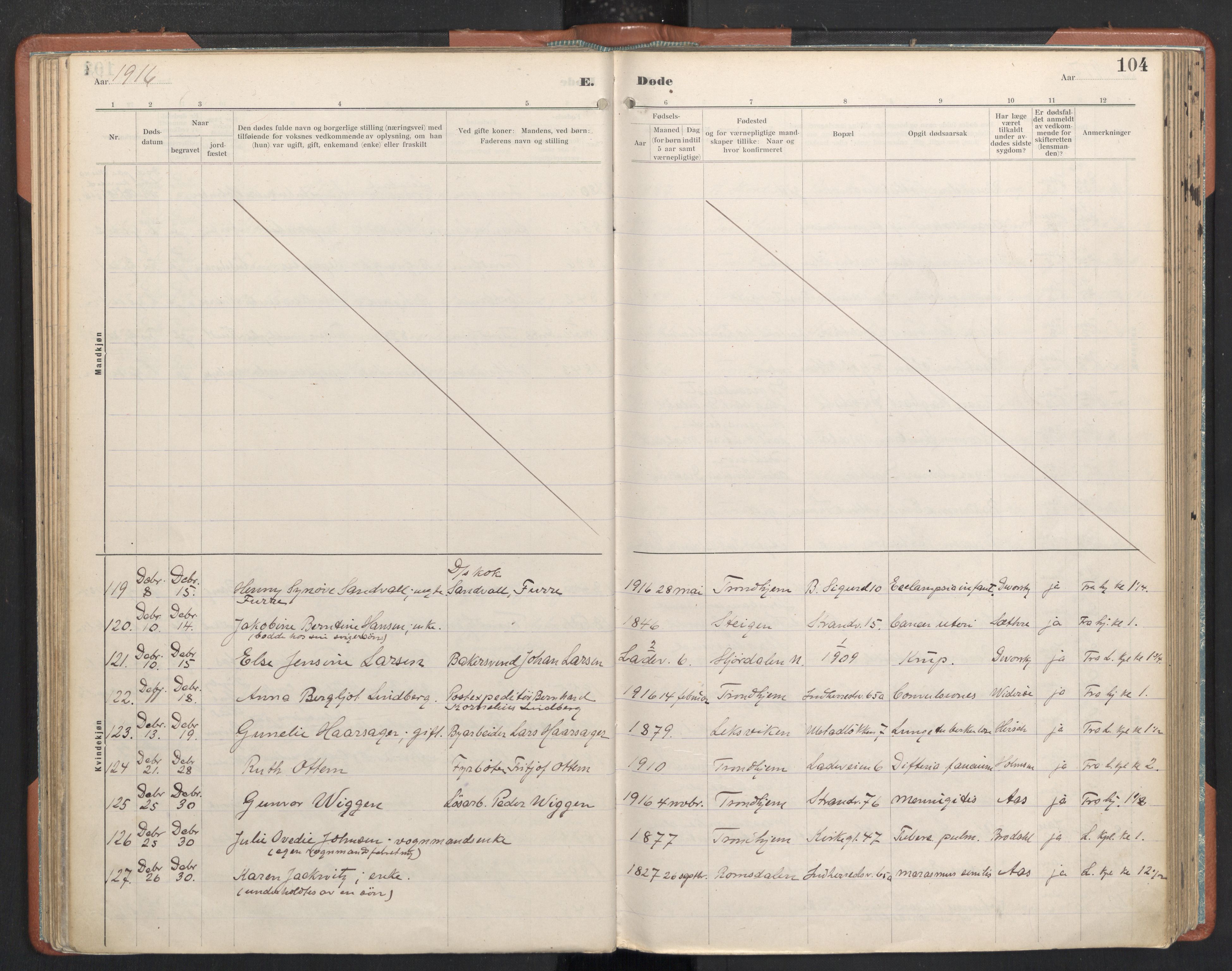 Ministerialprotokoller, klokkerbøker og fødselsregistre - Sør-Trøndelag, AV/SAT-A-1456/605/L0245: Ministerialbok nr. 605A07, 1916-1938, s. 104
