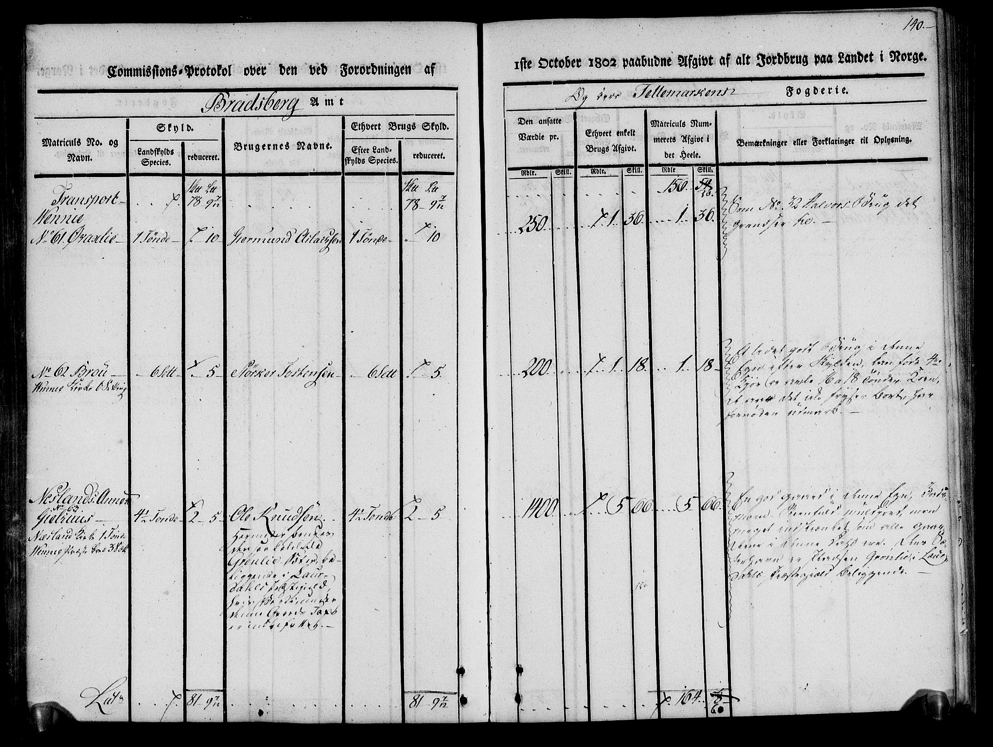 Rentekammeret inntil 1814, Realistisk ordnet avdeling, RA/EA-4070/N/Ne/Nea/L0075: Øvre Telemarken fogderi. Kommisjonsprotokoll for fogderiets vestre del - Kviteseid, Vinje, Moland [):Fyresdal] og Lårdal prestegjeld., 1803, s. 141