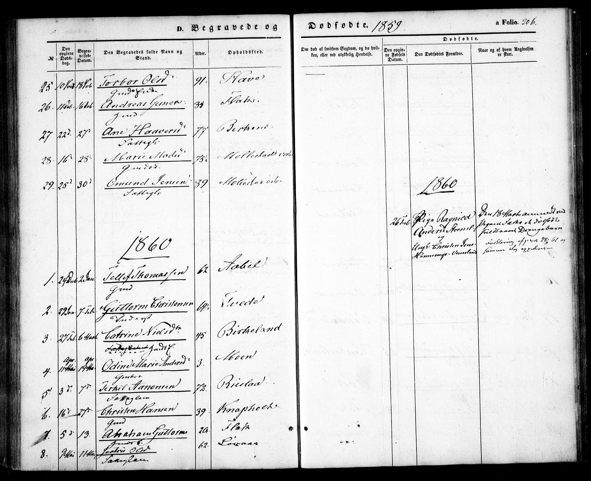 Birkenes sokneprestkontor, SAK/1111-0004/F/Fa/L0003: Ministerialbok nr. A 3, 1850-1866, s. 206