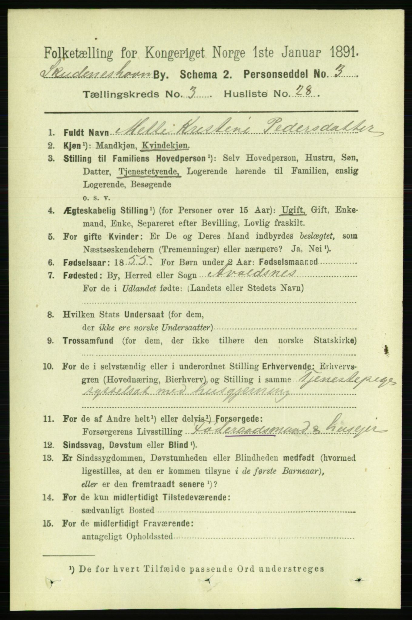 RA, Folketelling 1891 for 1104 Skudeneshavn ladested, 1891, s. 1192