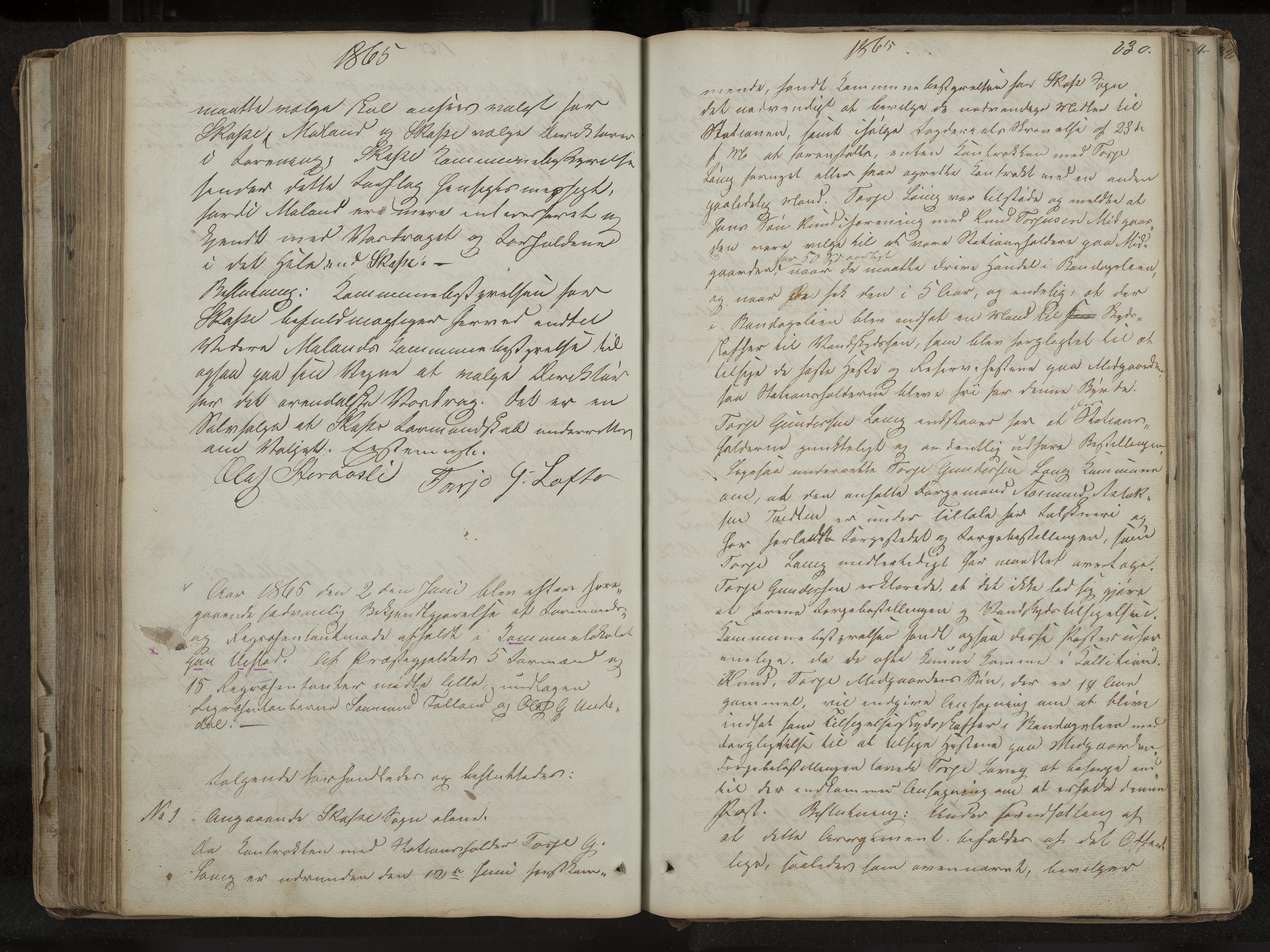 Mo formannskap og sentraladministrasjon, IKAK/0832021/A/L0001: Møtebok Mo og Skafså, 1837-1882, s. 230