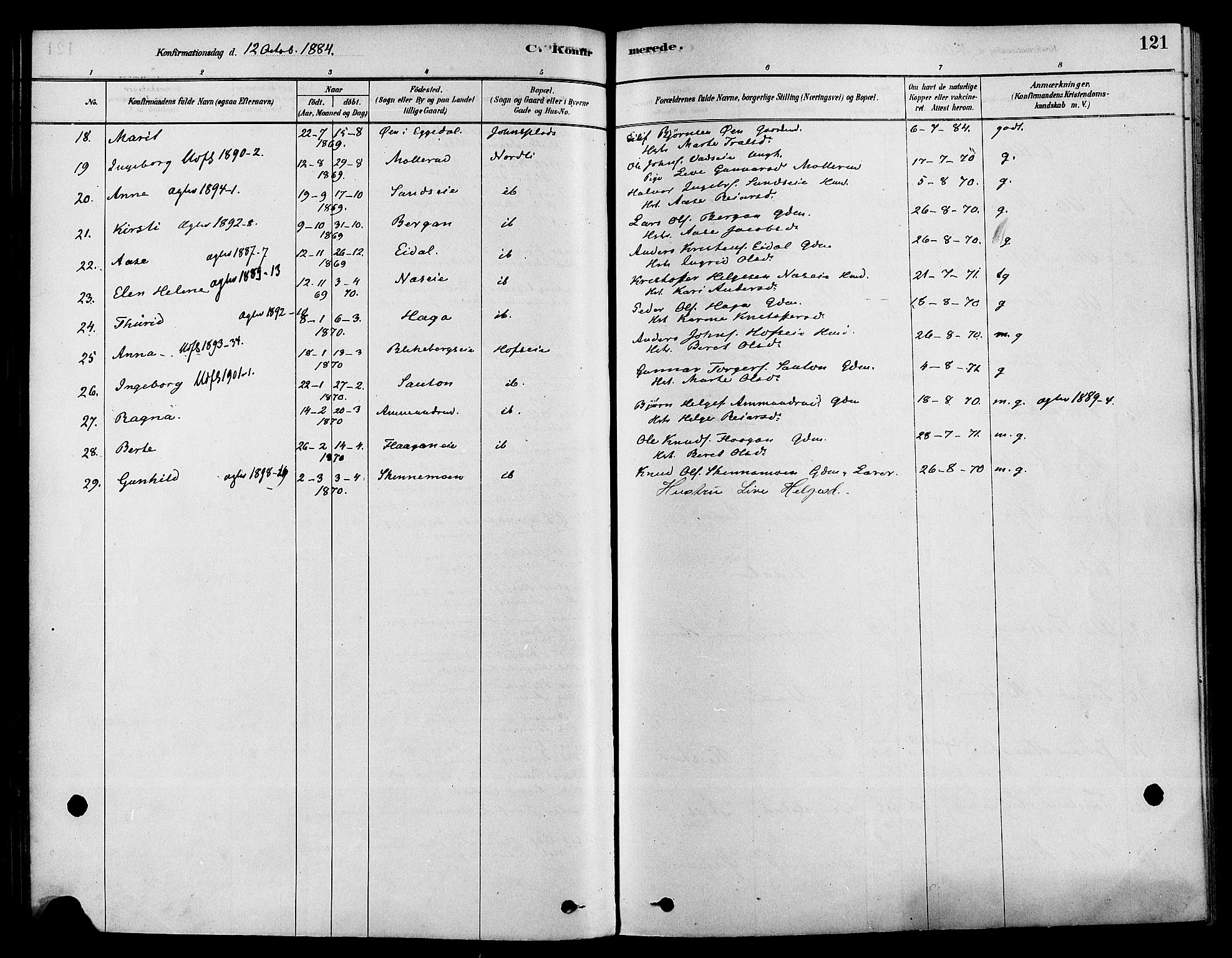 Sigdal kirkebøker, SAKO/A-245/F/Fa/L0011: Ministerialbok nr. I 11, 1879-1887, s. 121