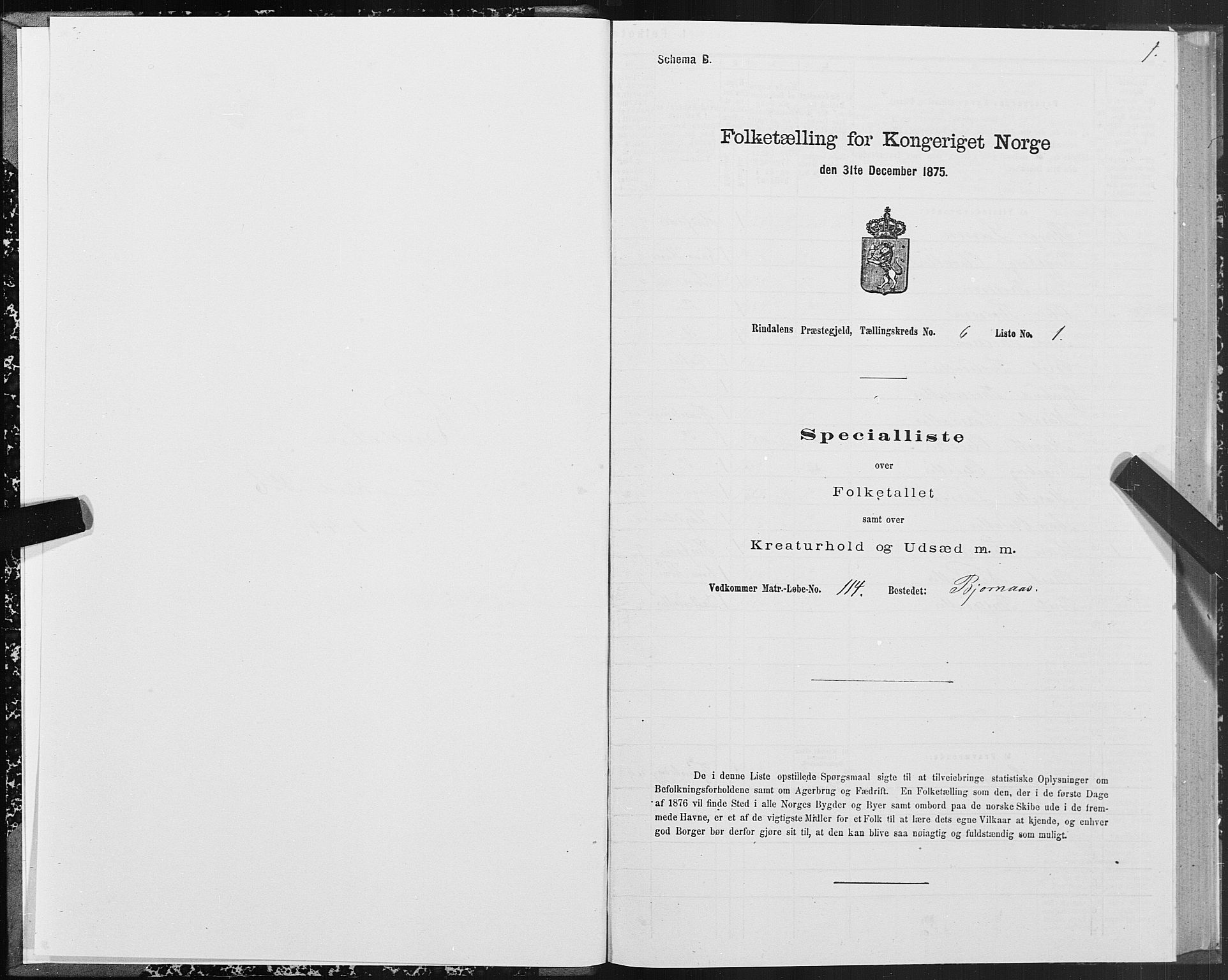 SAT, Folketelling 1875 for 1567P Rindal prestegjeld, 1875, s. 3001