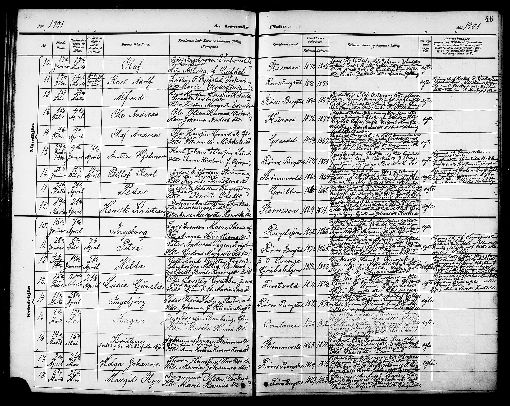 Ministerialprotokoller, klokkerbøker og fødselsregistre - Sør-Trøndelag, AV/SAT-A-1456/681/L0941: Klokkerbok nr. 681C05, 1896-1905, s. 46