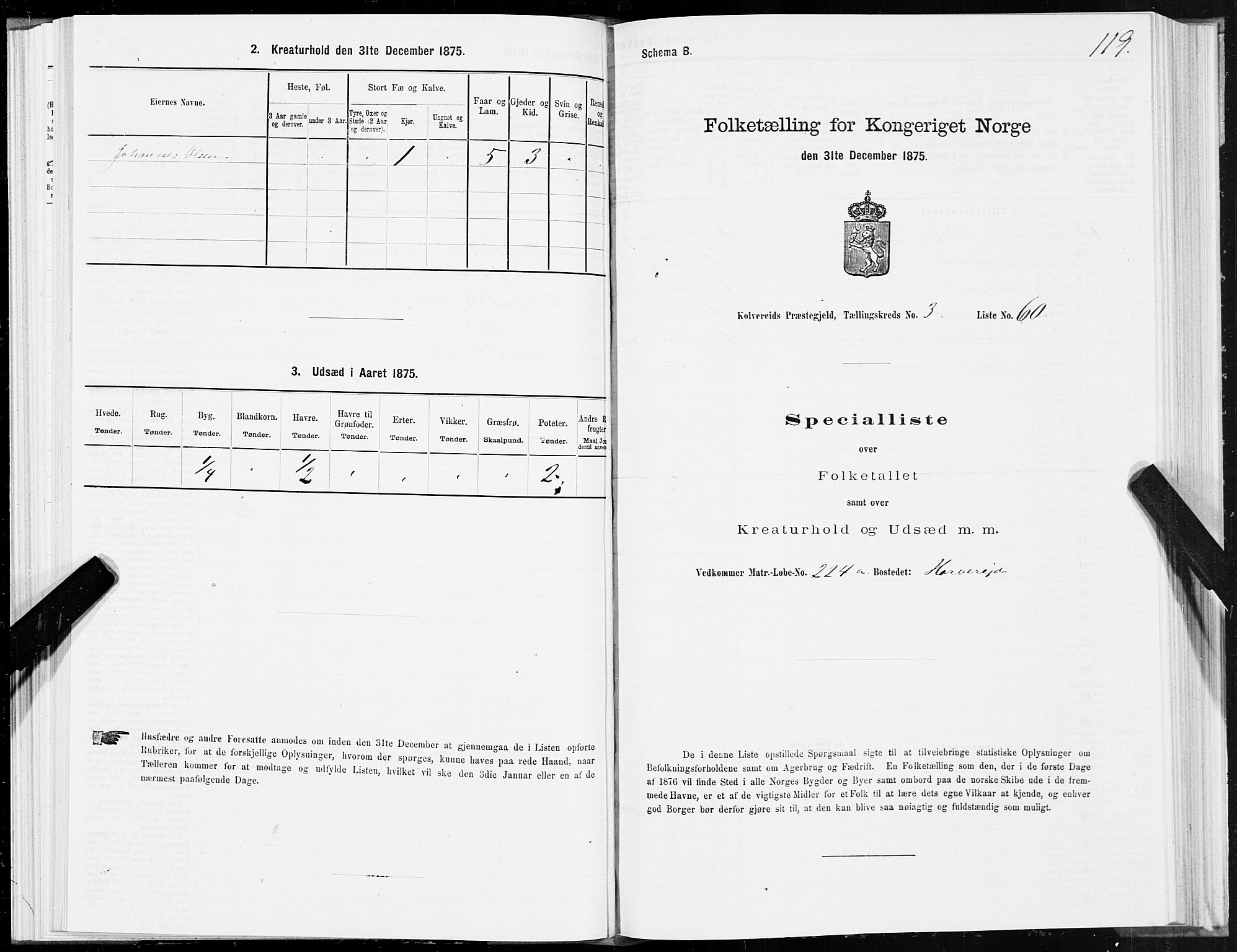 SAT, Folketelling 1875 for 1752P Kolvereid prestegjeld, 1875, s. 2119