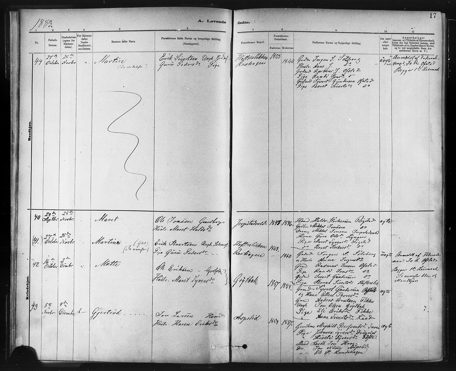 Ministerialprotokoller, klokkerbøker og fødselsregistre - Sør-Trøndelag, SAT/A-1456/672/L0857: Ministerialbok nr. 672A09, 1882-1893, s. 17
