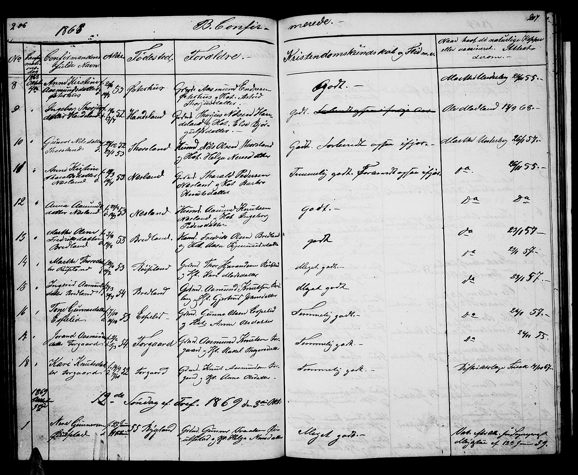 Åseral sokneprestkontor, AV/SAK-1111-0051/F/Fb/L0001: Klokkerbok nr. B 1, 1856-1877, s. 206-207
