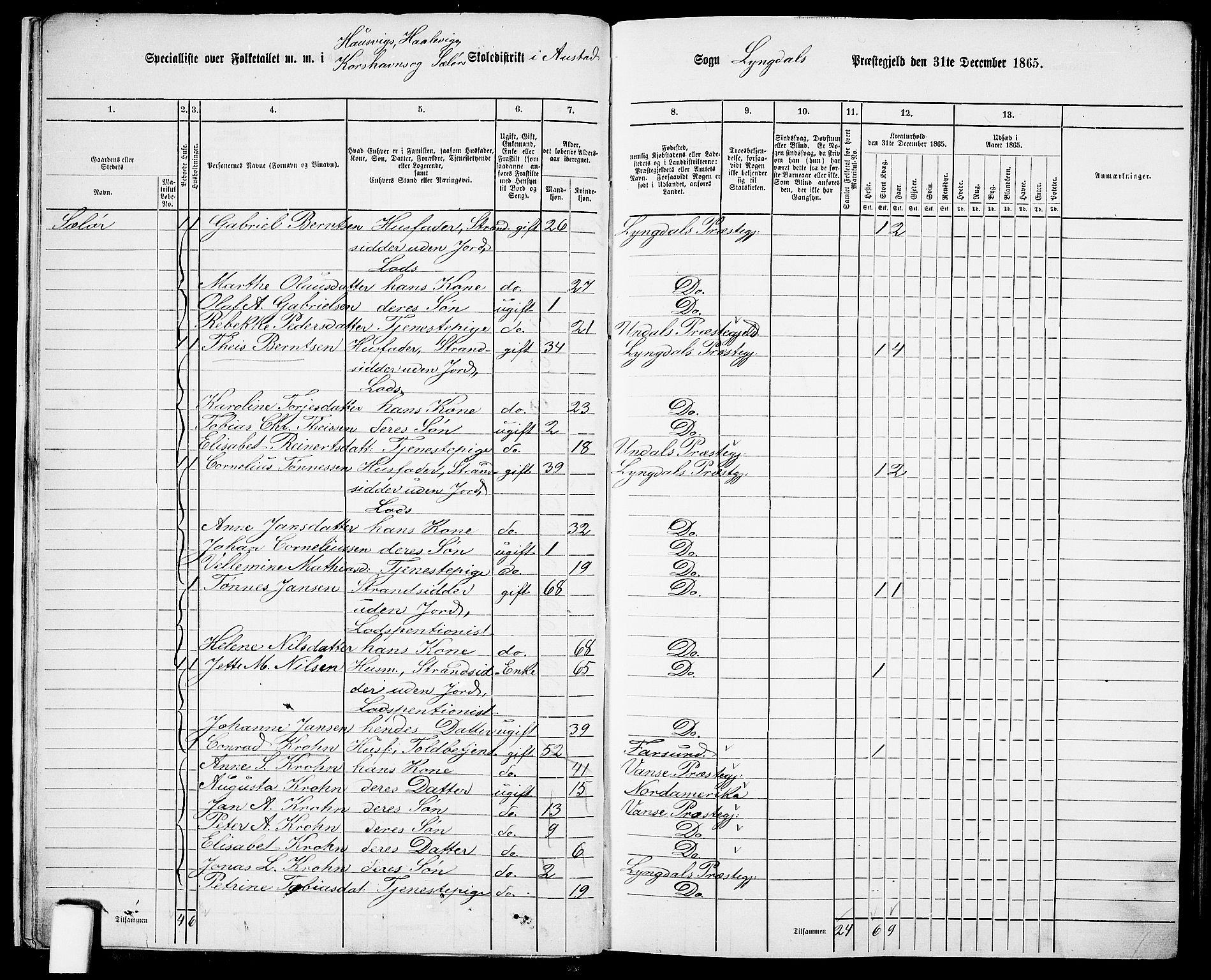 RA, Folketelling 1865 for 1032P Lyngdal prestegjeld, 1865, s. 22
