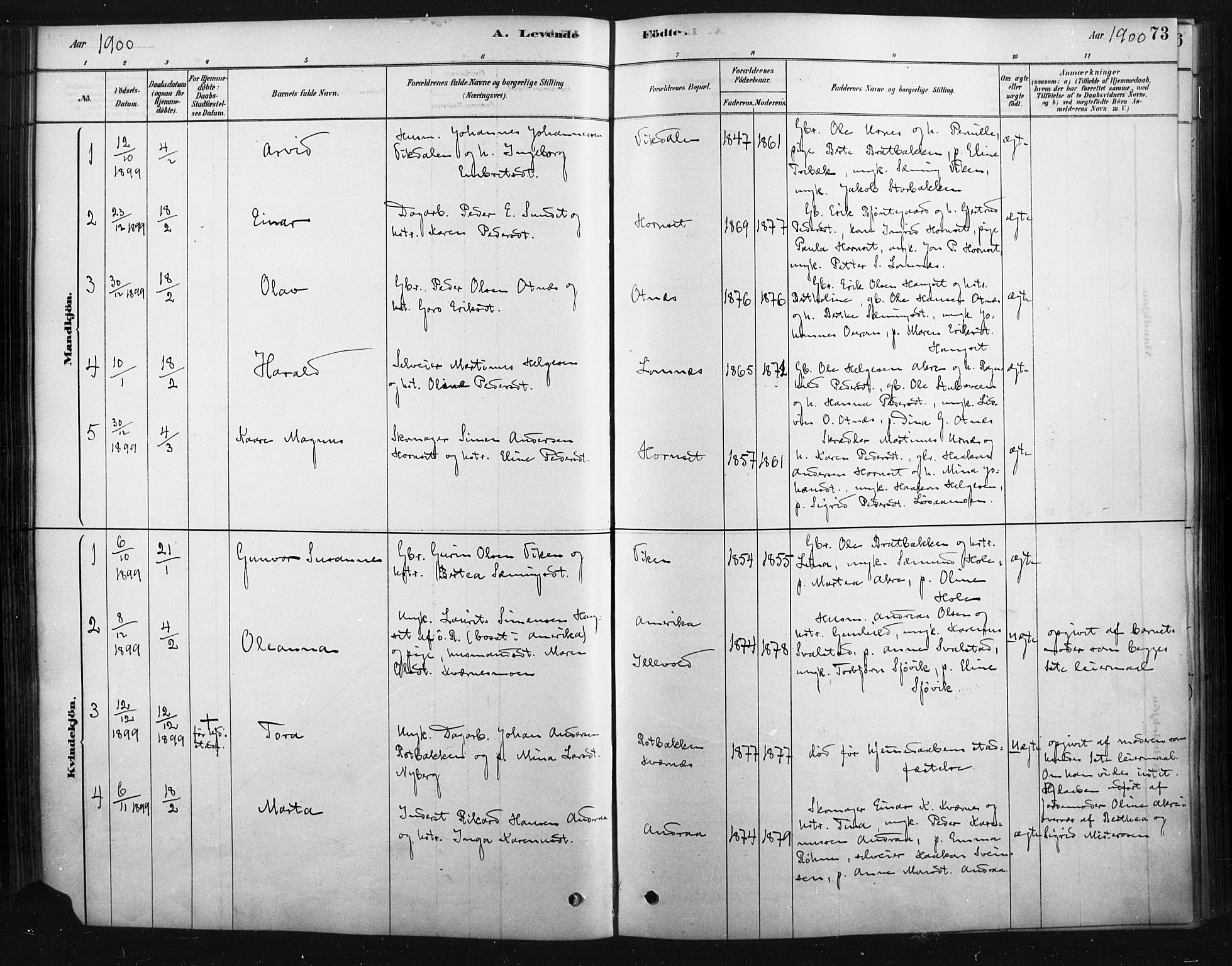 Rendalen prestekontor, AV/SAH-PREST-054/H/Ha/Haa/L0010: Ministerialbok nr. 10, 1878-1901, s. 73