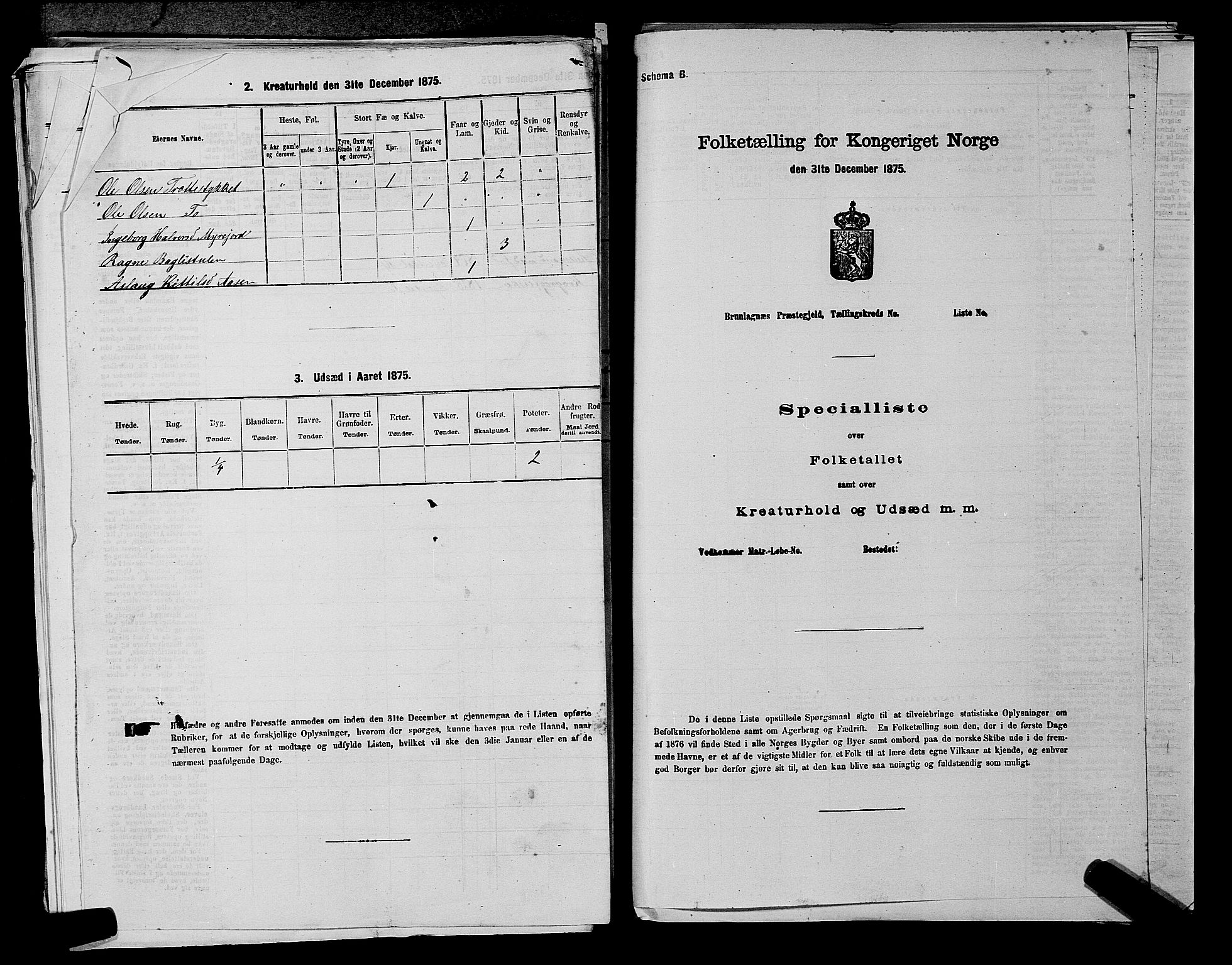 SAKO, Folketelling 1875 for 0827P Hjartdal prestegjeld, 1875, s. 335