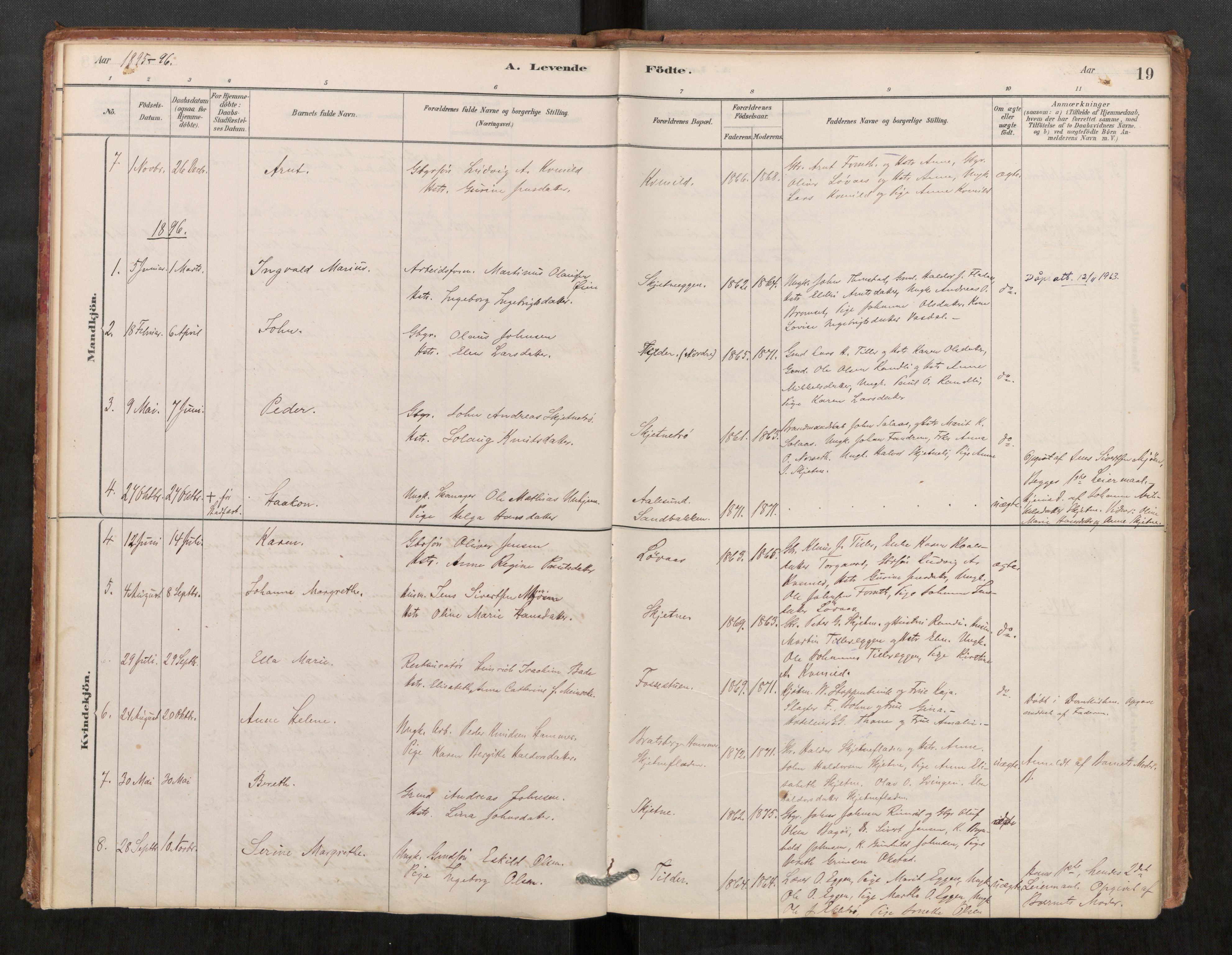 Klæbu sokneprestkontor, AV/SAT-A-1112: Ministerialbok nr. 1, 1880-1900, s. 19