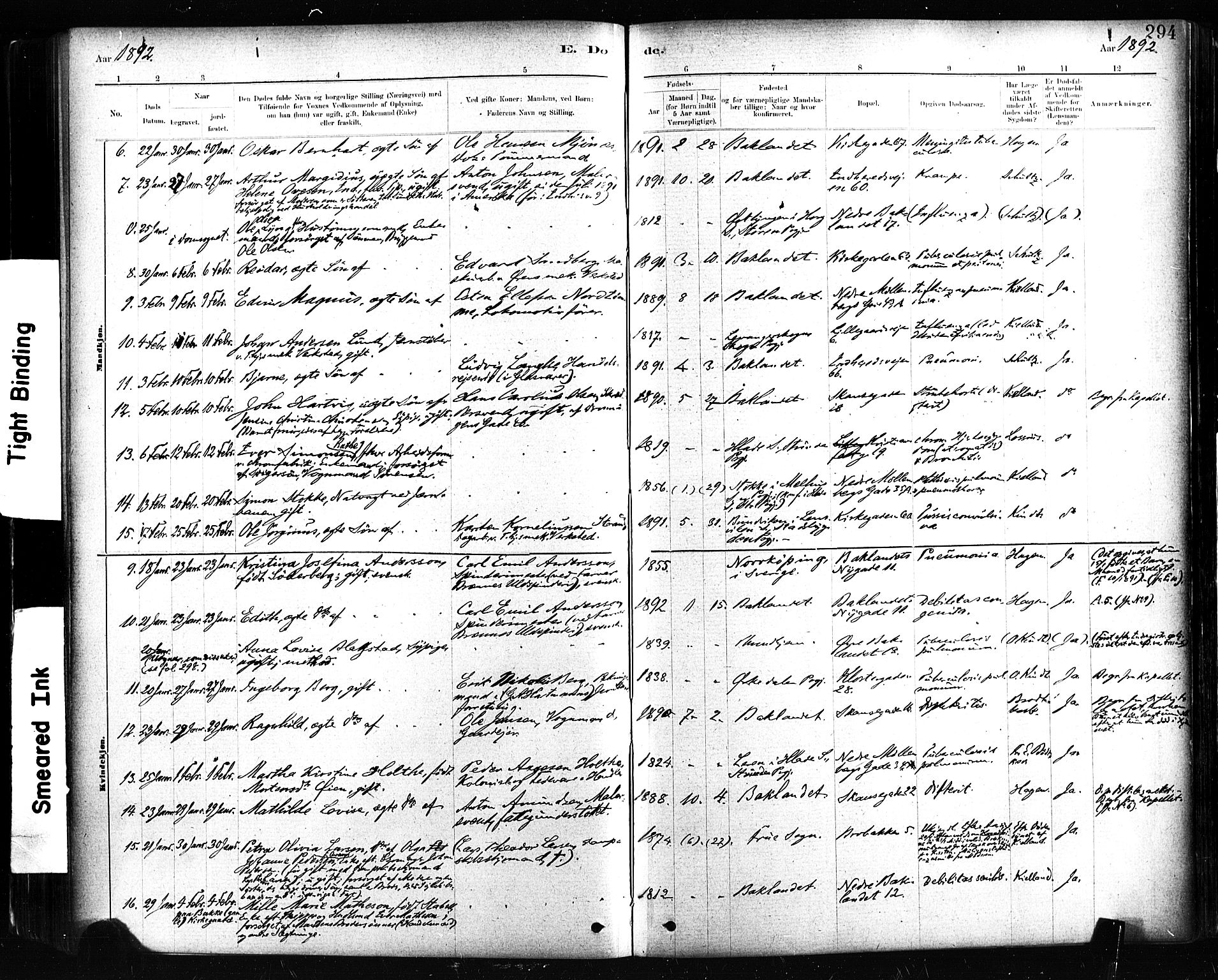 Ministerialprotokoller, klokkerbøker og fødselsregistre - Sør-Trøndelag, AV/SAT-A-1456/604/L0189: Ministerialbok nr. 604A10, 1878-1892, s. 294