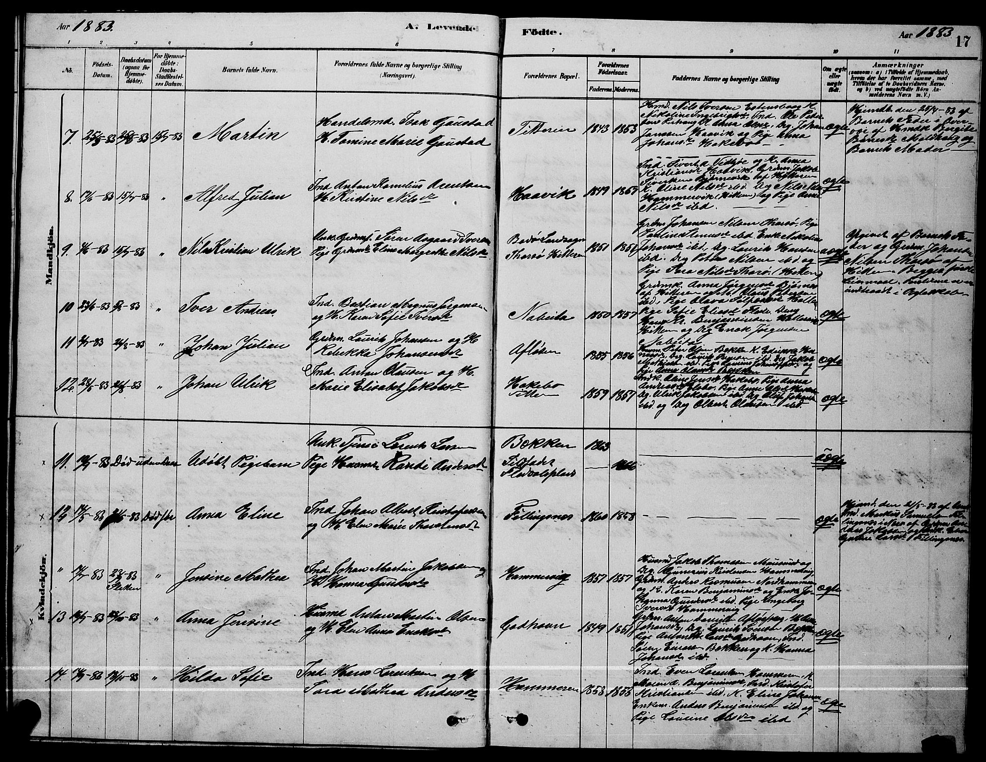 Ministerialprotokoller, klokkerbøker og fødselsregistre - Sør-Trøndelag, AV/SAT-A-1456/641/L0597: Klokkerbok nr. 641C01, 1878-1893, s. 17