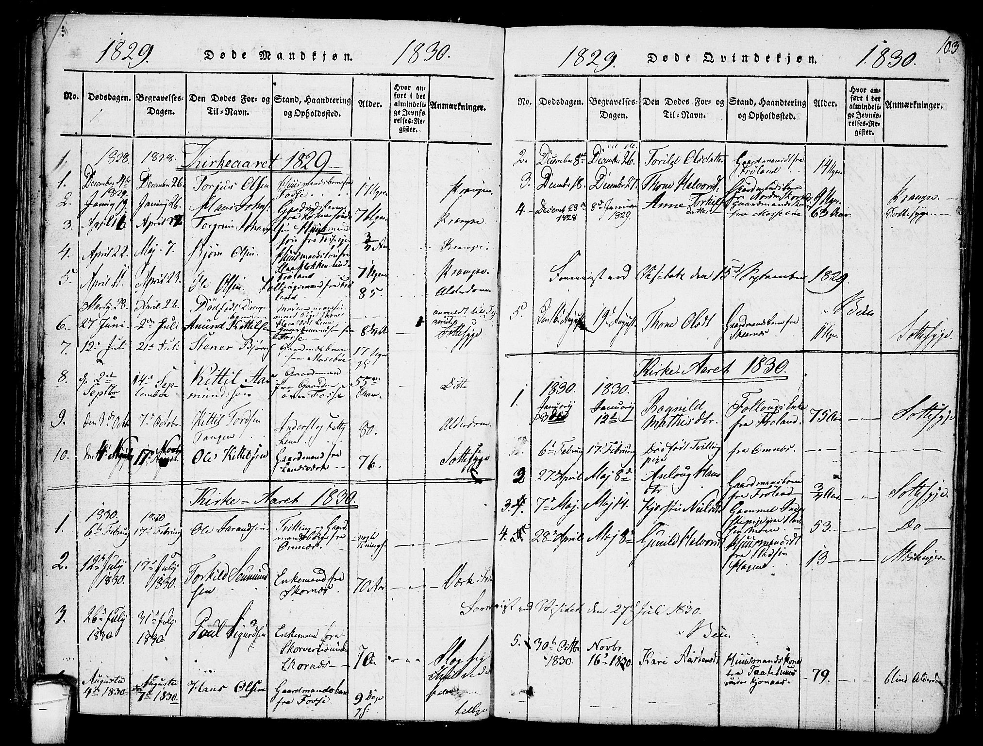 Hjartdal kirkebøker, AV/SAKO-A-270/F/Fb/L0001: Ministerialbok nr. II 1, 1815-1843, s. 103