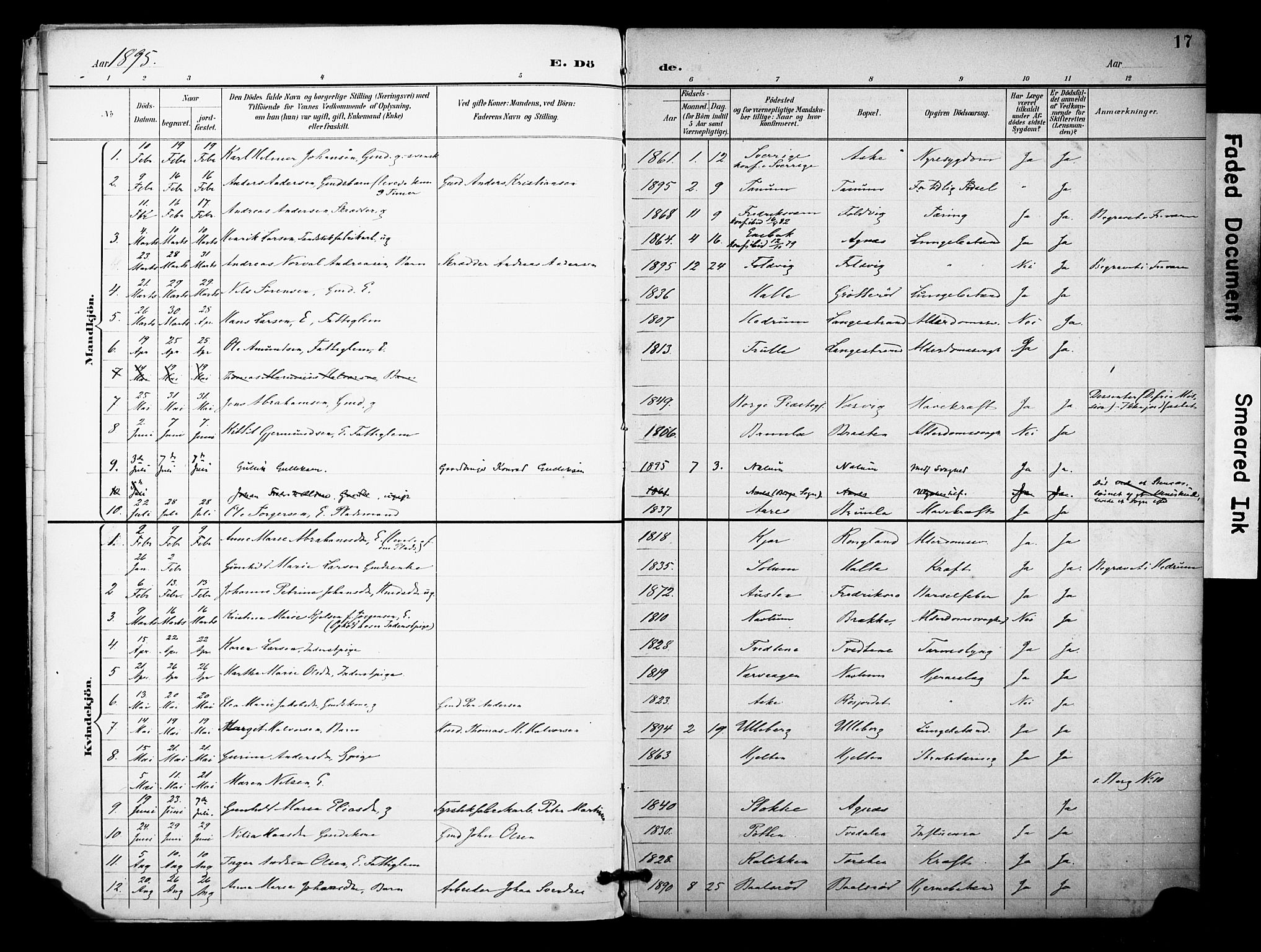 Brunlanes kirkebøker, AV/SAKO-A-342/F/Fc/L0002: Ministerialbok nr. III 2, 1895-1899, s. 17