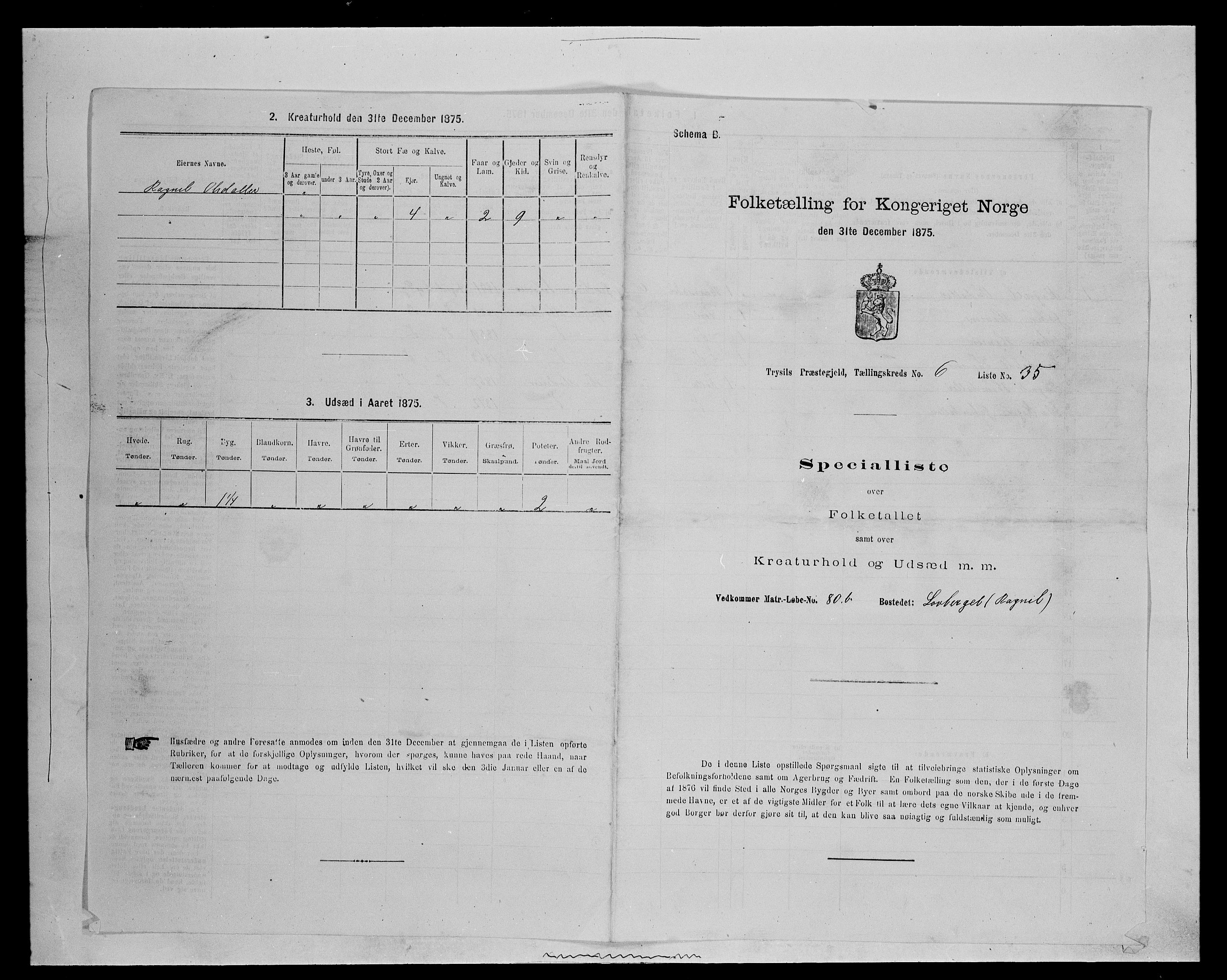 SAH, Folketelling 1875 for 0428P Trysil prestegjeld, 1875, s. 789