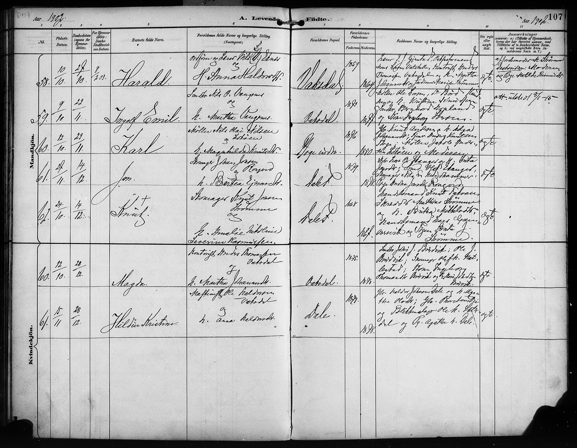 Bruvik Sokneprestembete, AV/SAB-A-74701/H/Haa: Ministerialbok nr. B 2, 1893-1903, s. 107