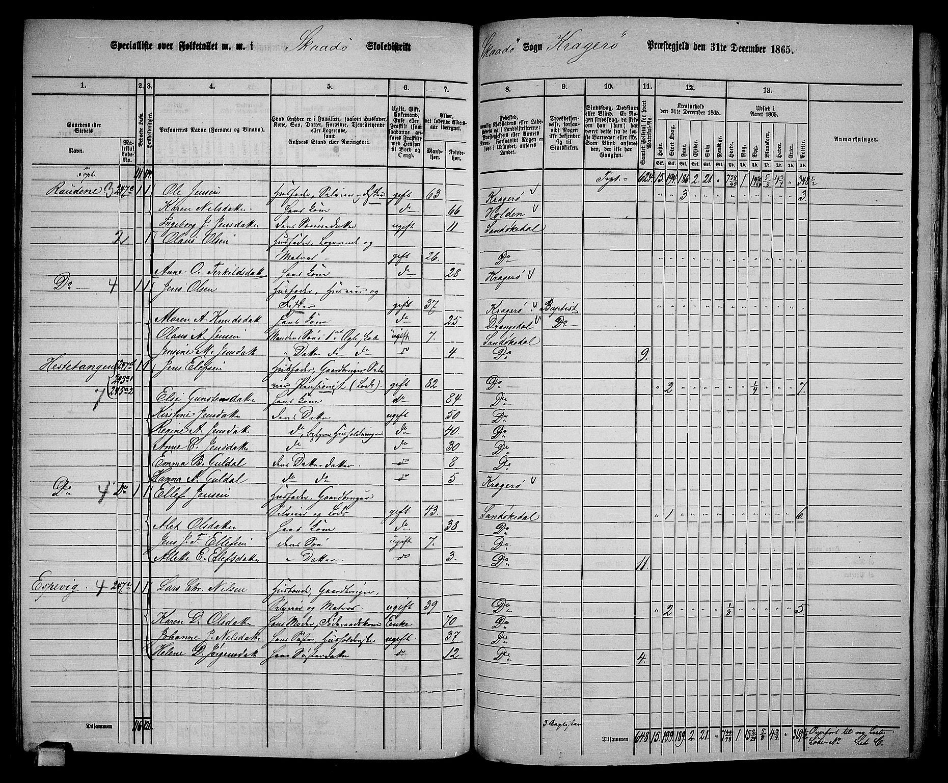 RA, Folketelling 1865 for 0816L Kragerø prestegjeld, Sannidal sokn og Skåtøy sokn, 1865, s. 201