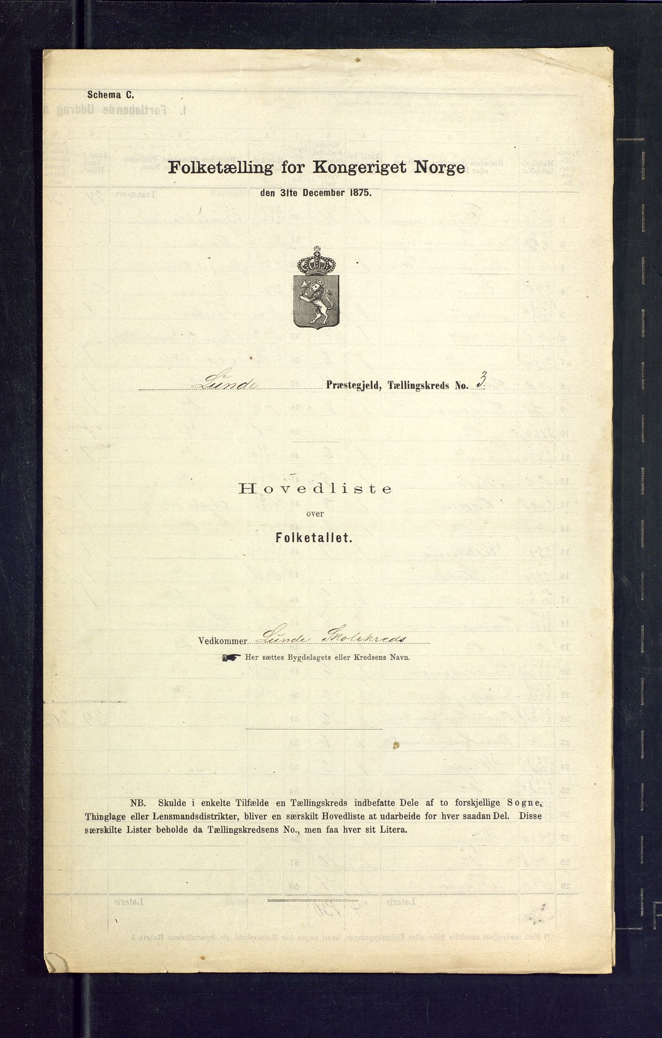 SAKO, Folketelling 1875 for 0820P Lunde prestegjeld, 1875, s. 13