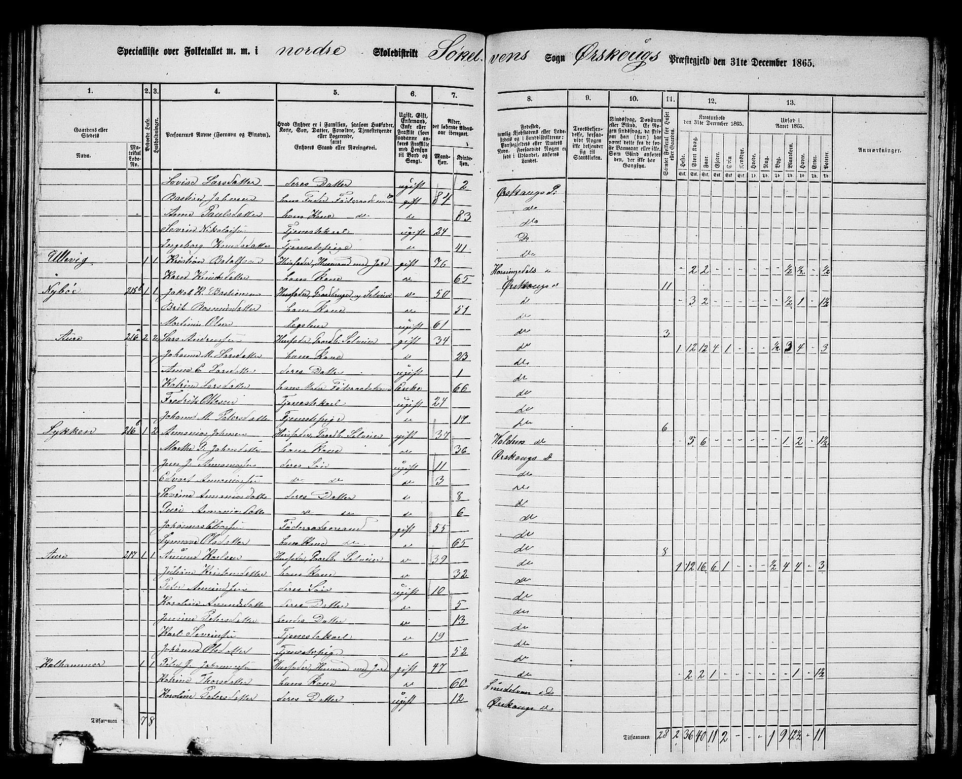 RA, Folketelling 1865 for 1527P Ørskog prestegjeld, 1865, s. 91