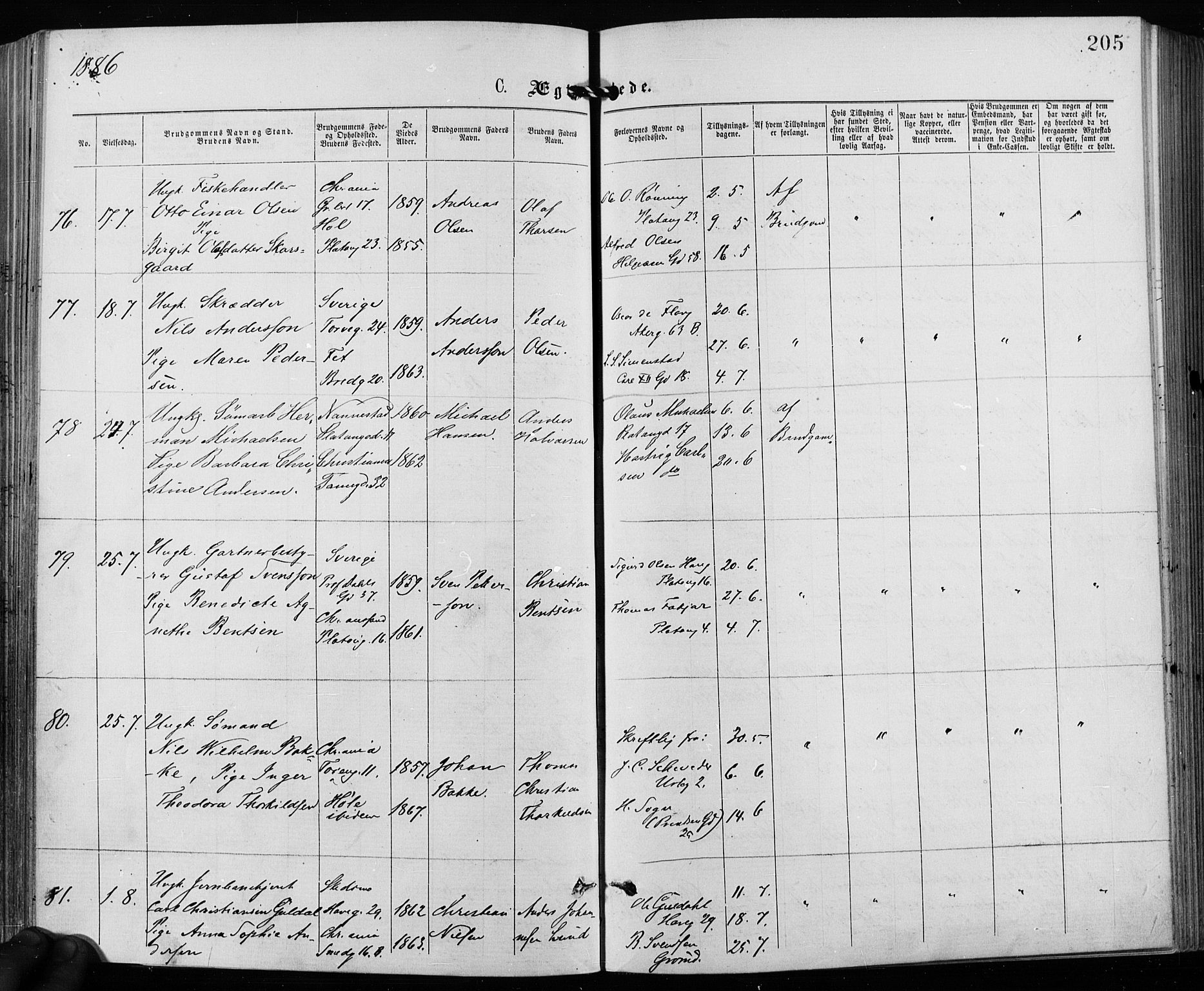 Grønland prestekontor Kirkebøker, SAO/A-10848/F/Fa/L0006: Ministerialbok nr. 6, 1877-1886, s. 205