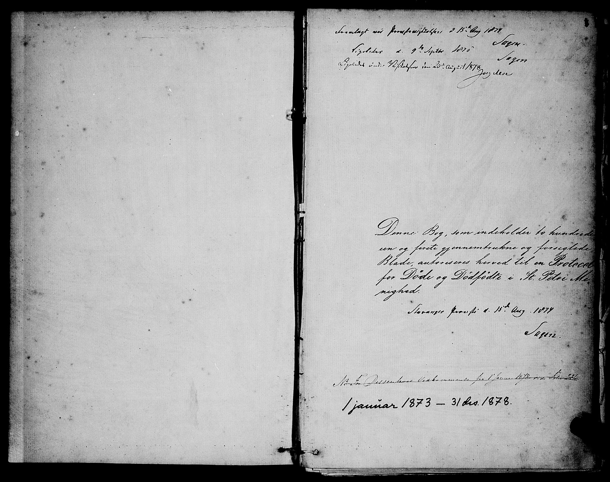 St. Petri sokneprestkontor, AV/SAST-A-101813/001/30/30BA/L0012: Ministerialbok nr. A 12, 1873-1878