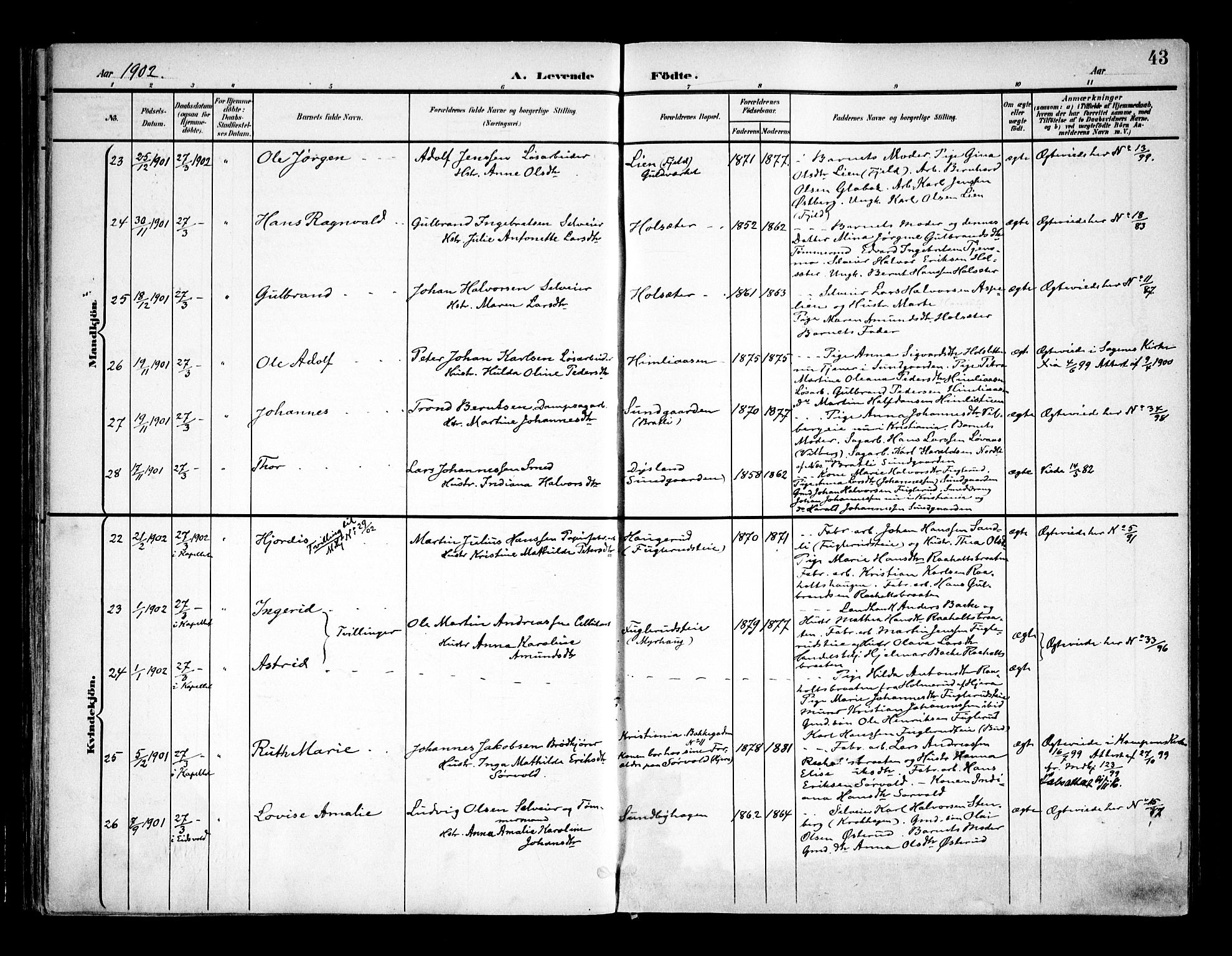 Eidsvoll prestekontor Kirkebøker, AV/SAO-A-10888/F/Fa/L0006: Ministerialbok nr. I 6, 1900-1907, s. 43