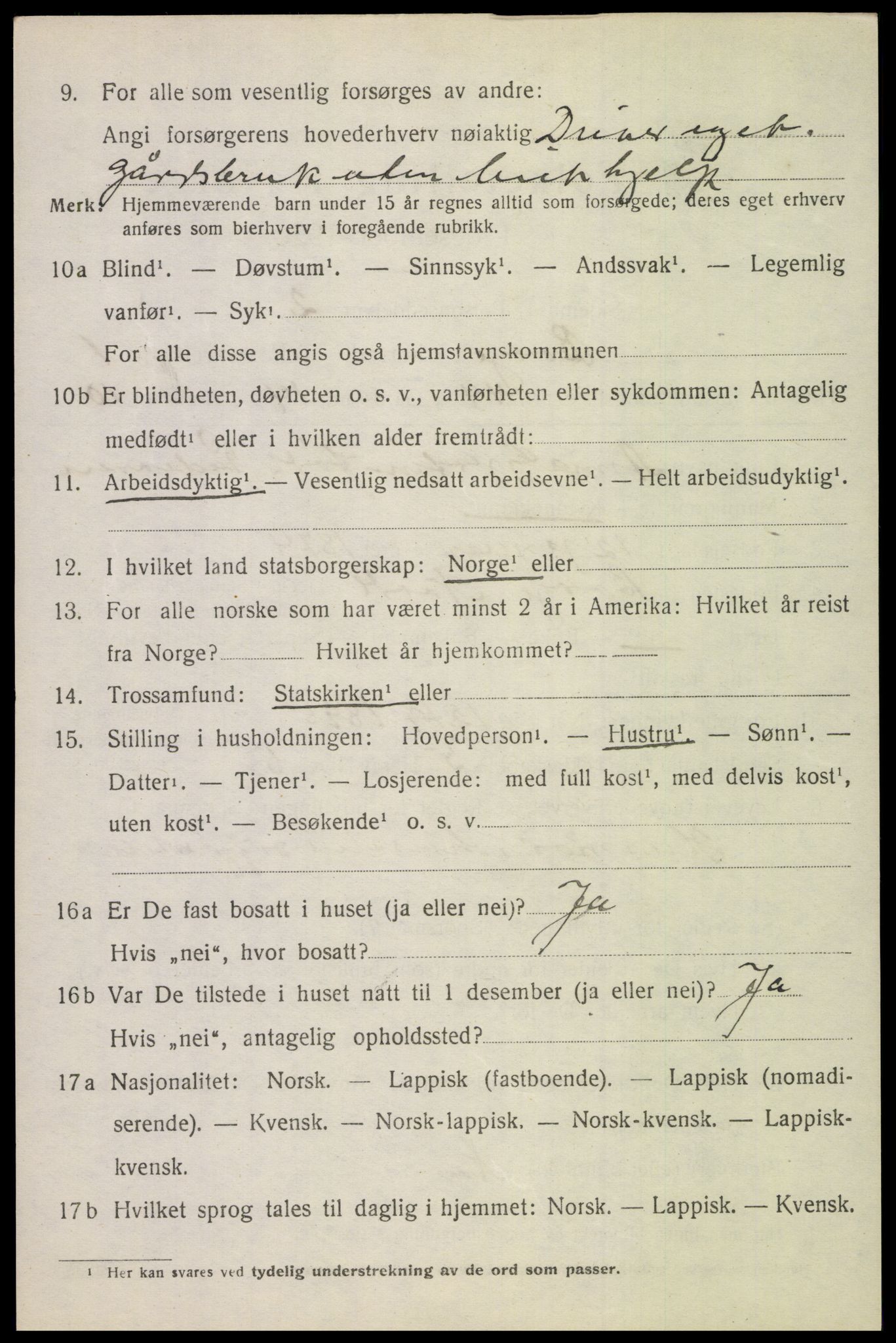 SAT, Folketelling 1920 for 1862 Borge herred, 1920, s. 2132