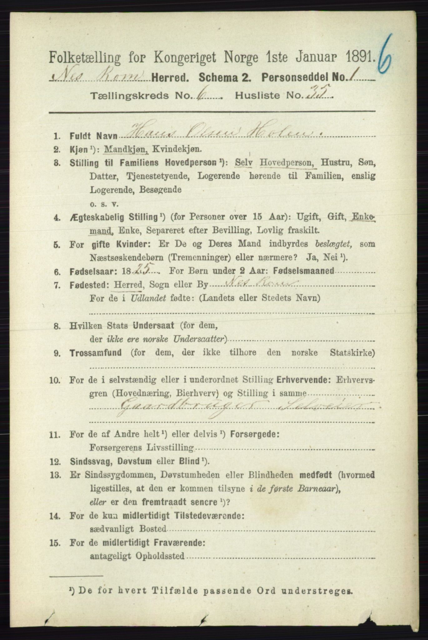 RA, Folketelling 1891 for 0236 Nes herred, 1891, s. 3603